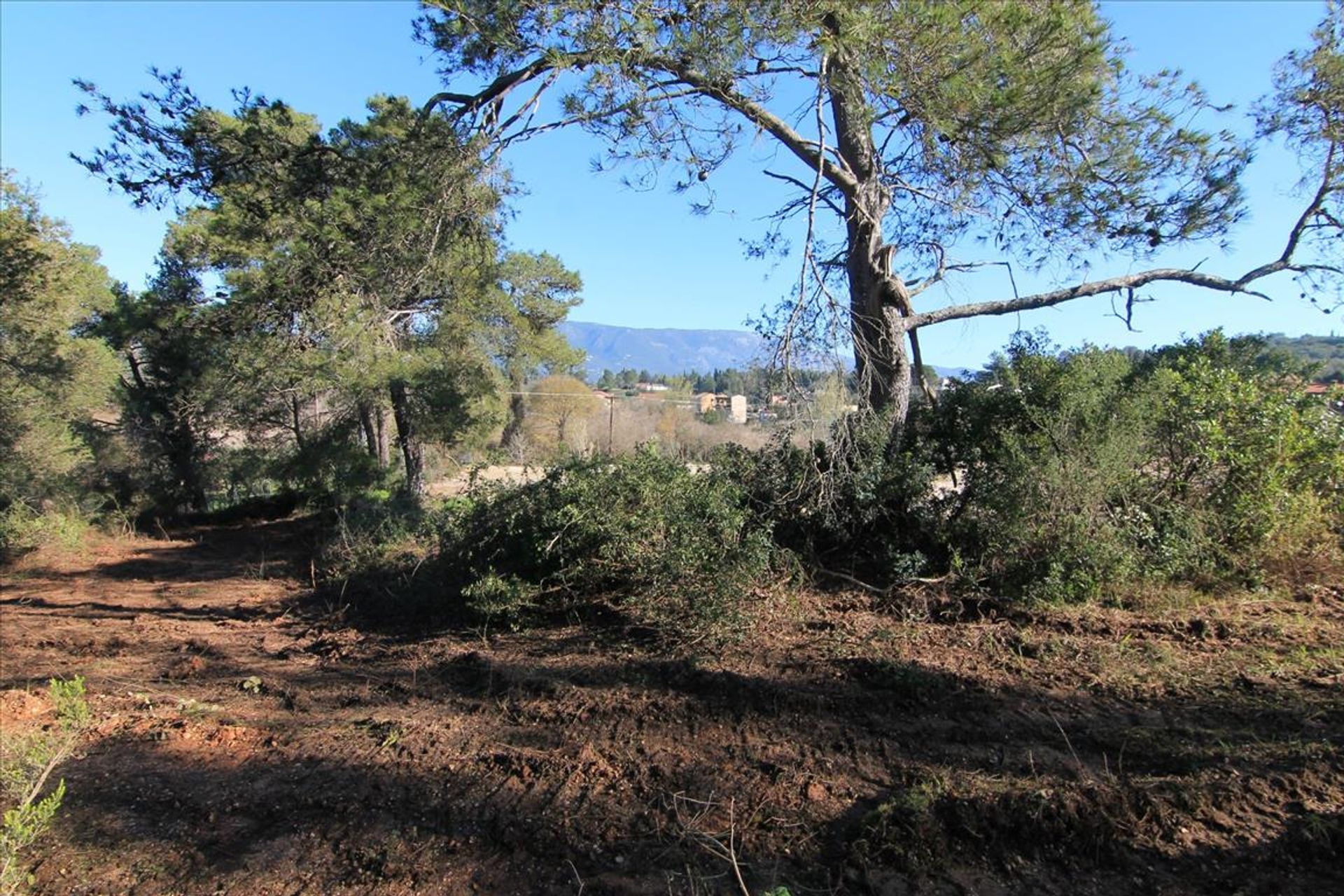 Terra no Gouvia, Ionia Nisia 10802626