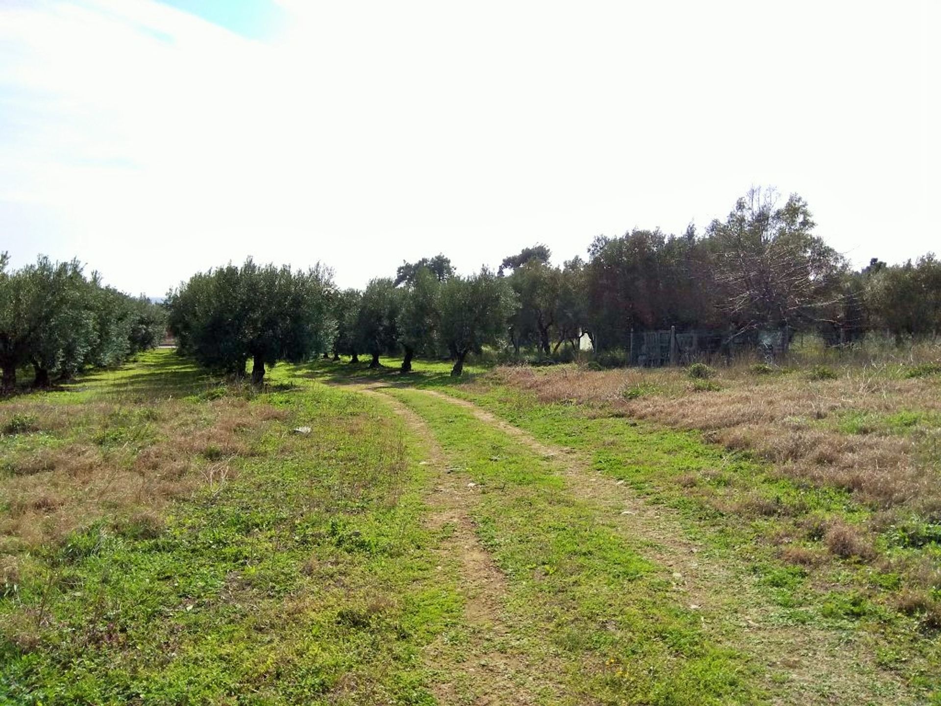 Земля в Геракіні, Kentriki Makedonia 10802663