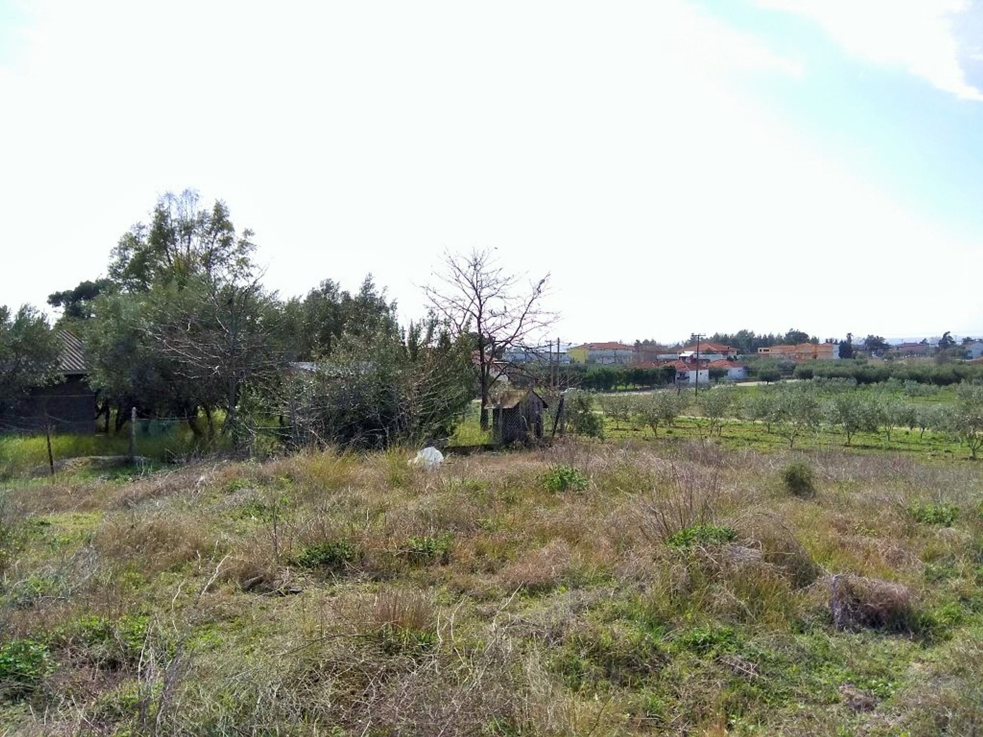 Land i Gerakini, Kentriki Makedonia 10802663