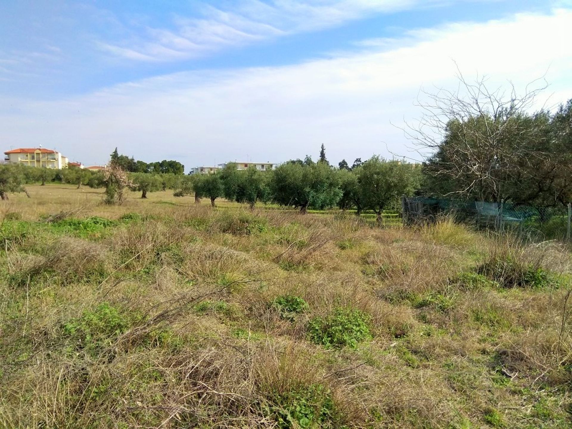 土地 在 格拉基尼, 肯特里基马其顿 10802663