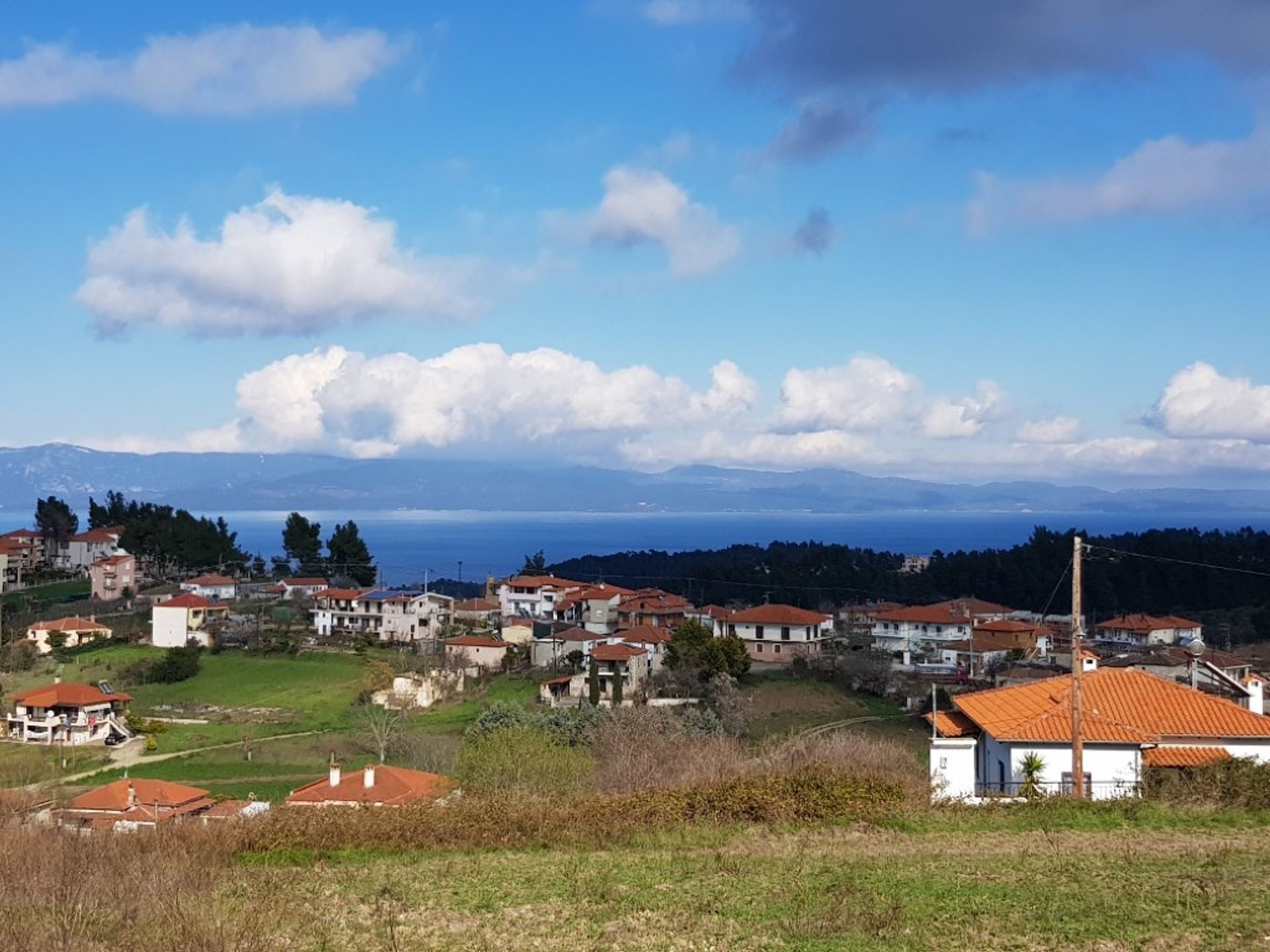 Terre dans Paliouri,  10802707