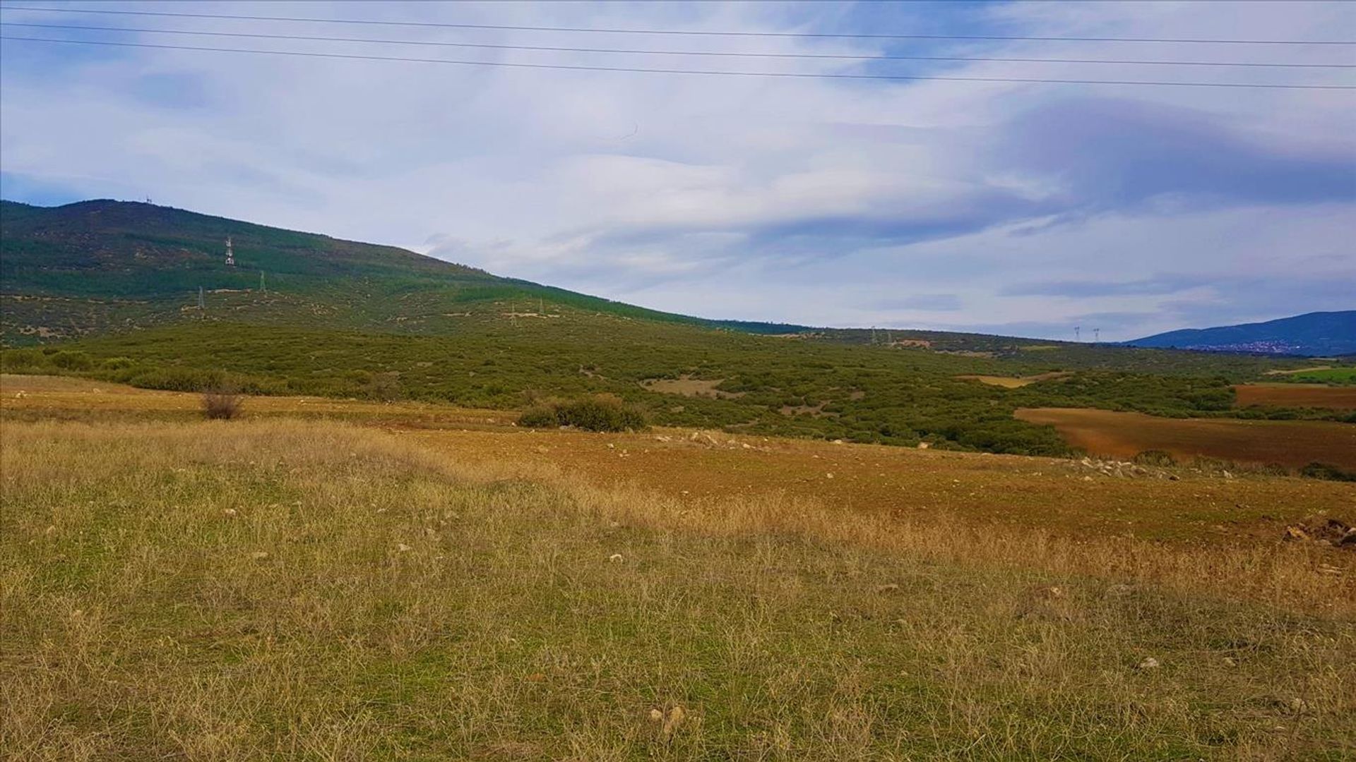 Terra no Nea Raidestos, Kentriki Makedonia 10802843