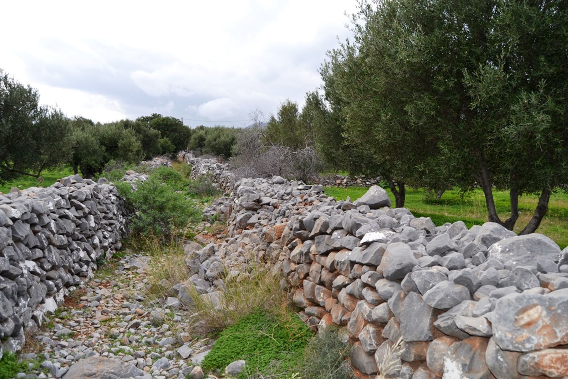 Γη σε Χερσόνησος, Κρήτης 10802847