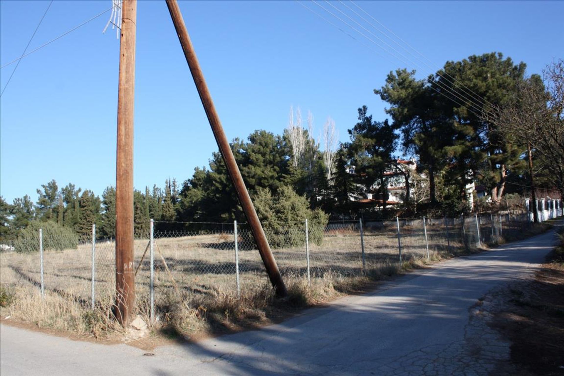 ארץ ב Panorama,  10802855