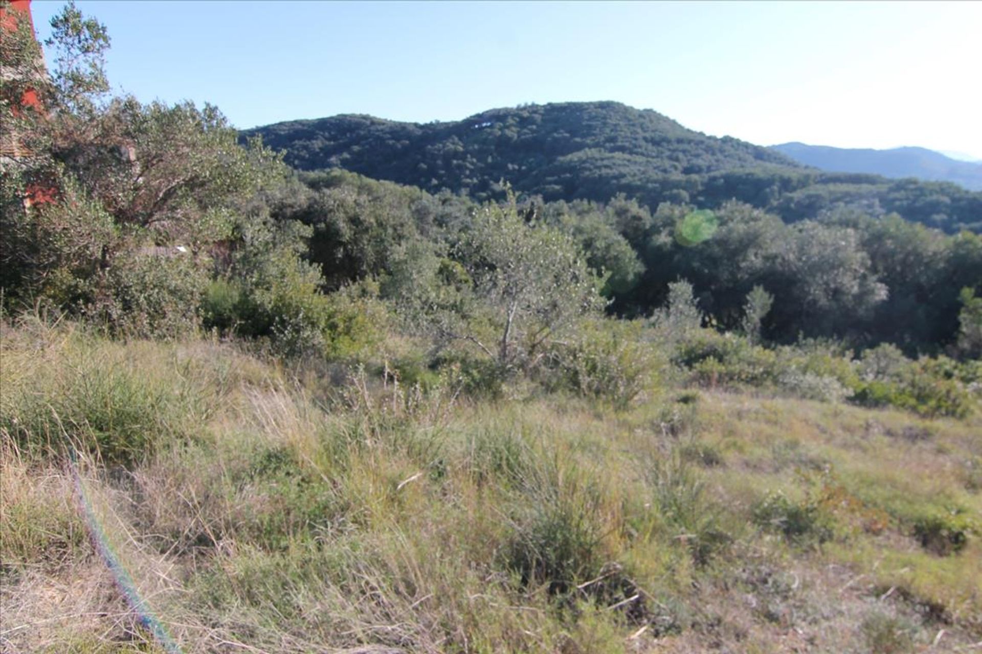 Land in Agios Stefanos,  10802892