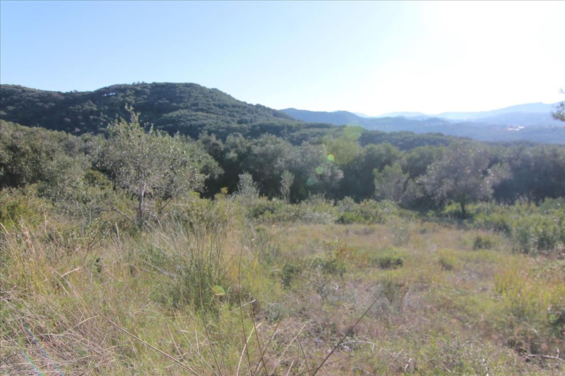 Land in Agios Stefanos,  10802892