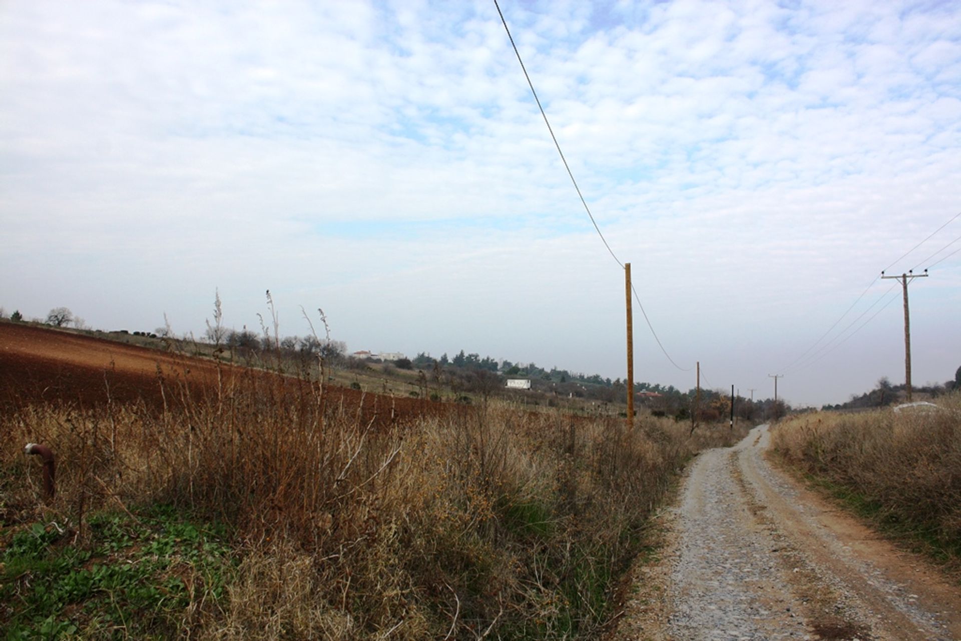 Terra no Peraia, Kentriki Makedonia 10802962