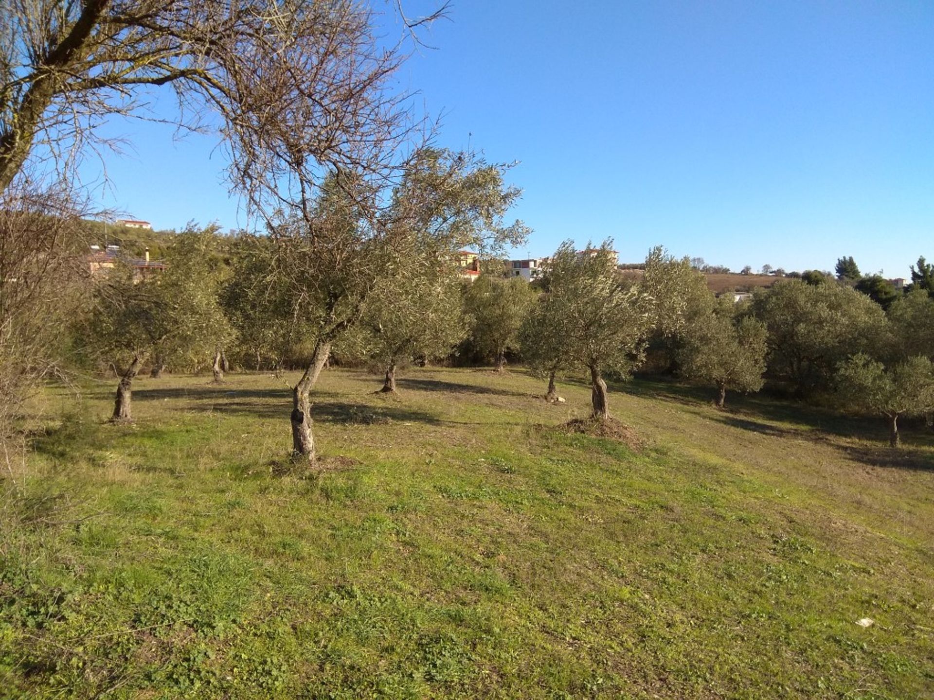 Terre dans Agios Nikolaos,  10802996