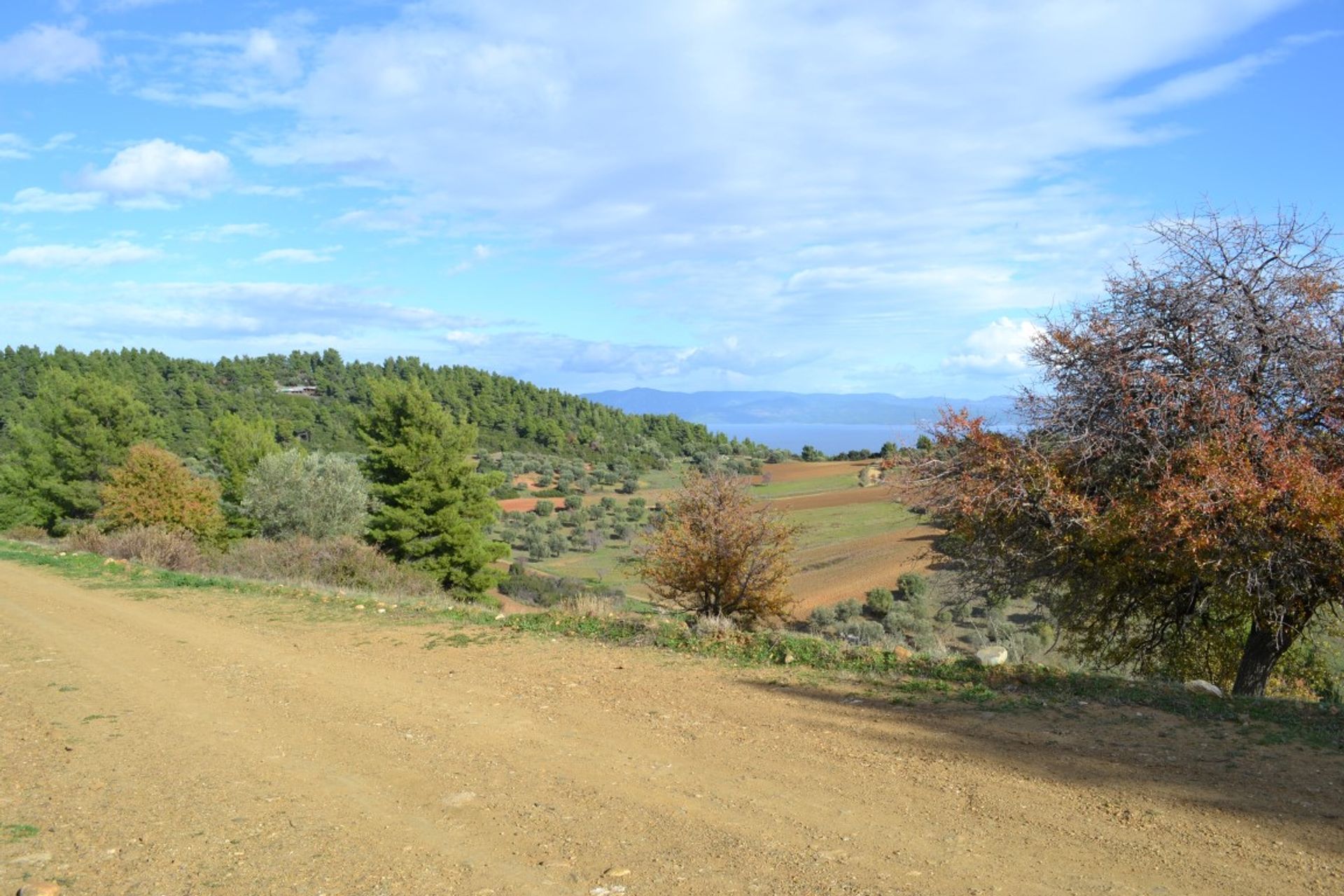 Tierra en Neos Marmaras, Kentriki Macedonia 10803004