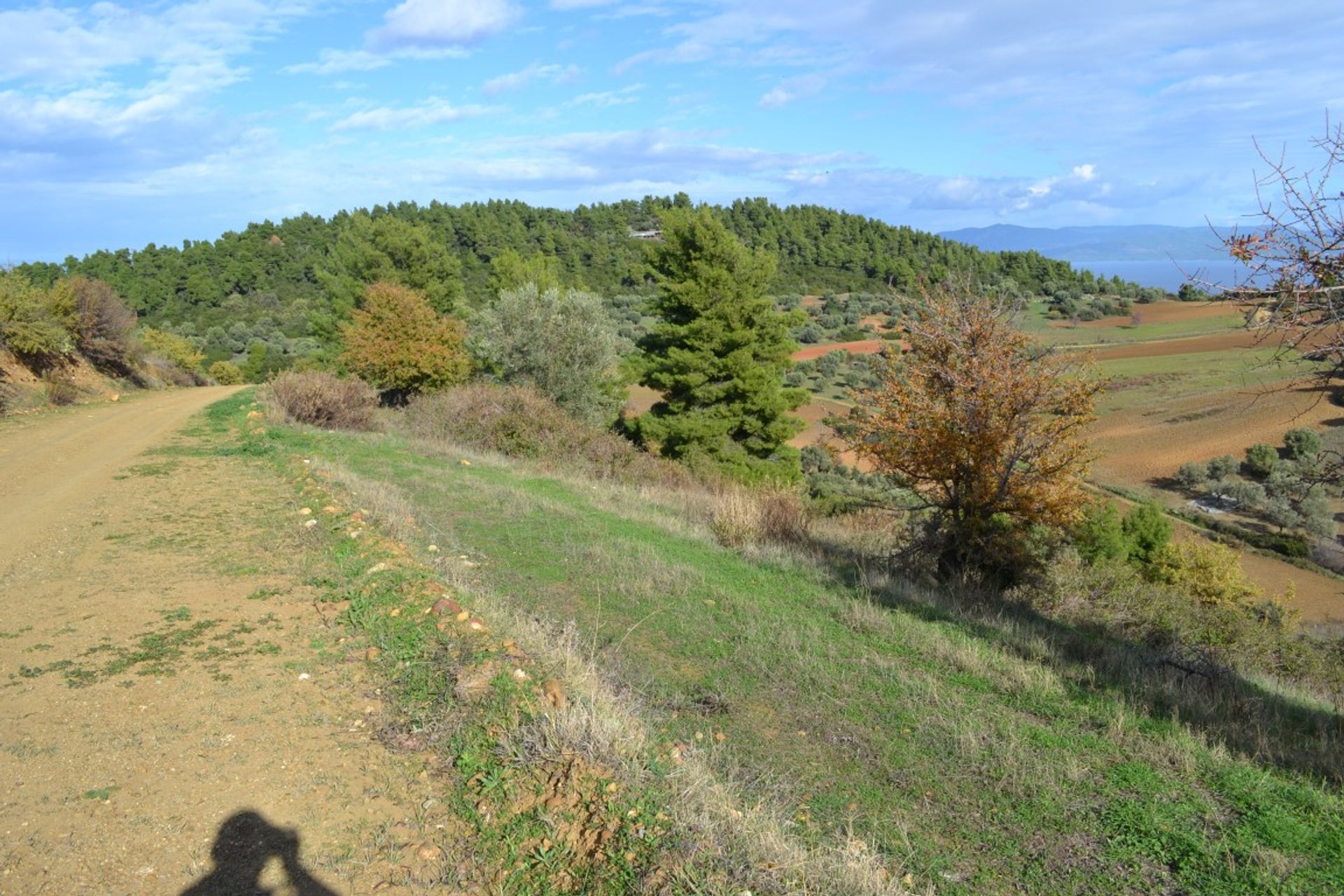 Tierra en Neos Marmaras, Kentriki Macedonia 10803004