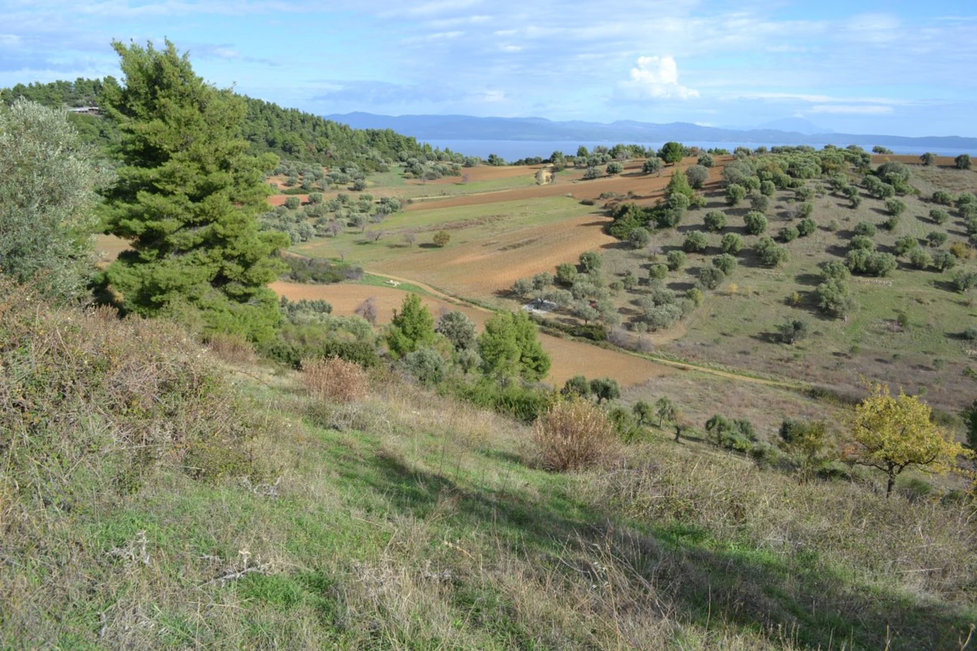 Tierra en Neos Marmaras, Kentriki Macedonia 10803004