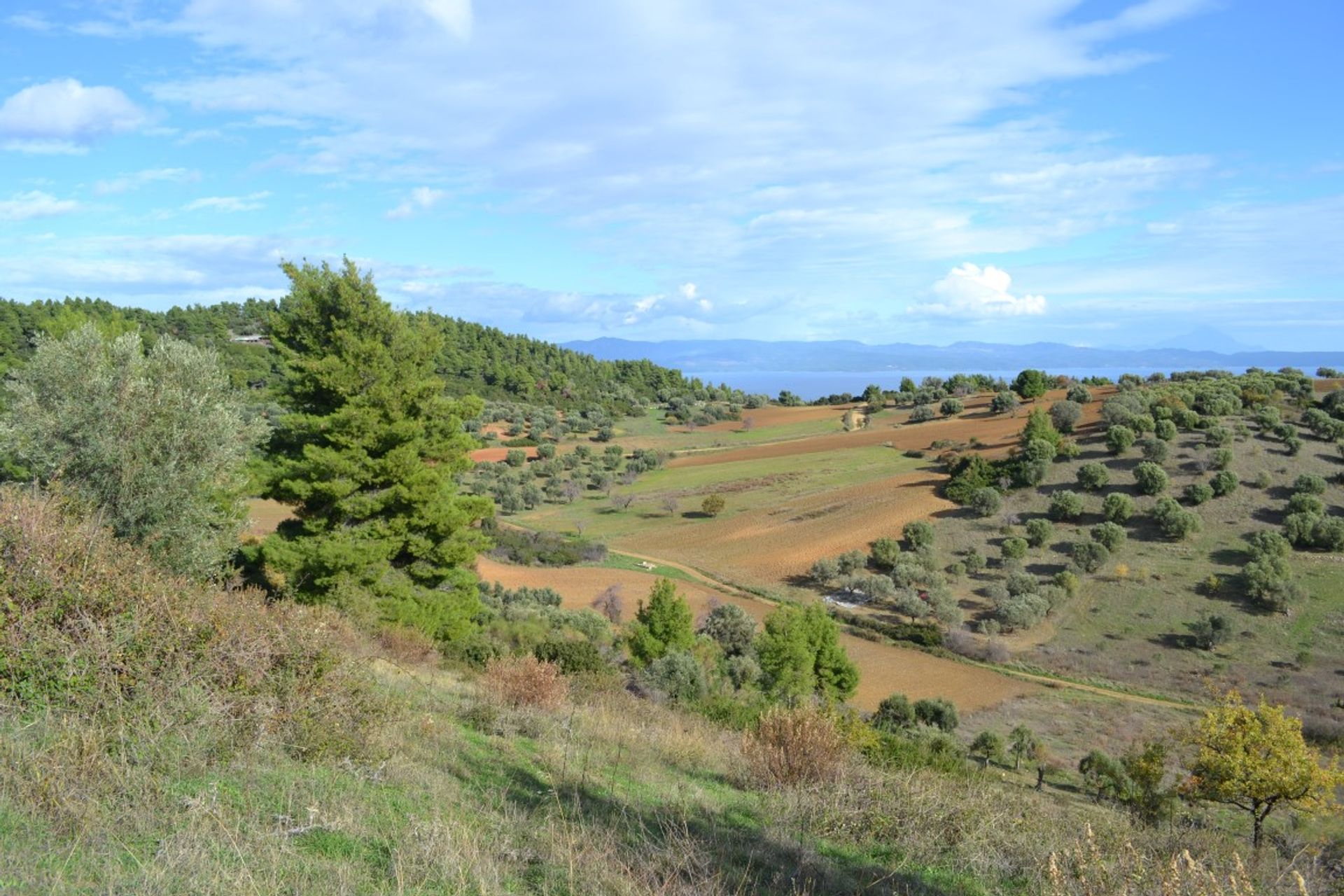 Tierra en Neos Marmaras, Kentriki Macedonia 10803004