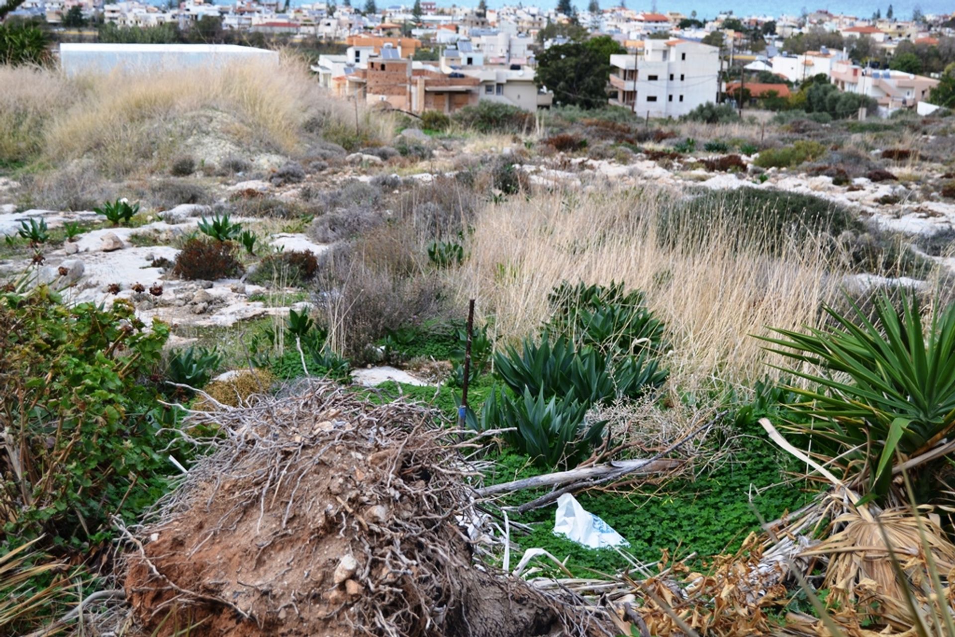 Land in Vatheianos Kampos, Kriti 10803022