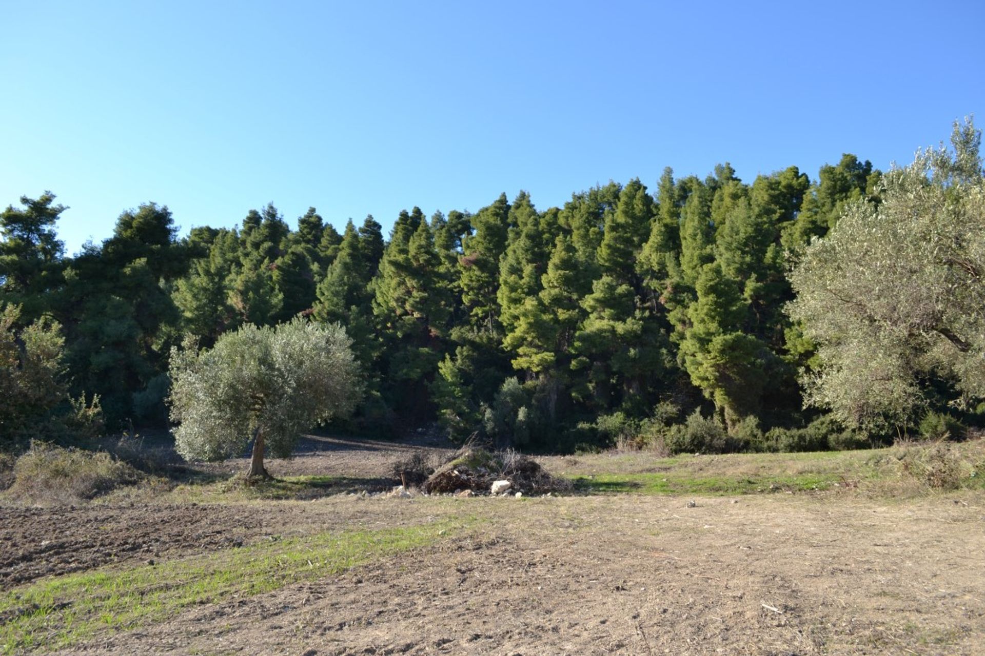 Tierra en Kassandreia, Kentriki Macedonia 10803064