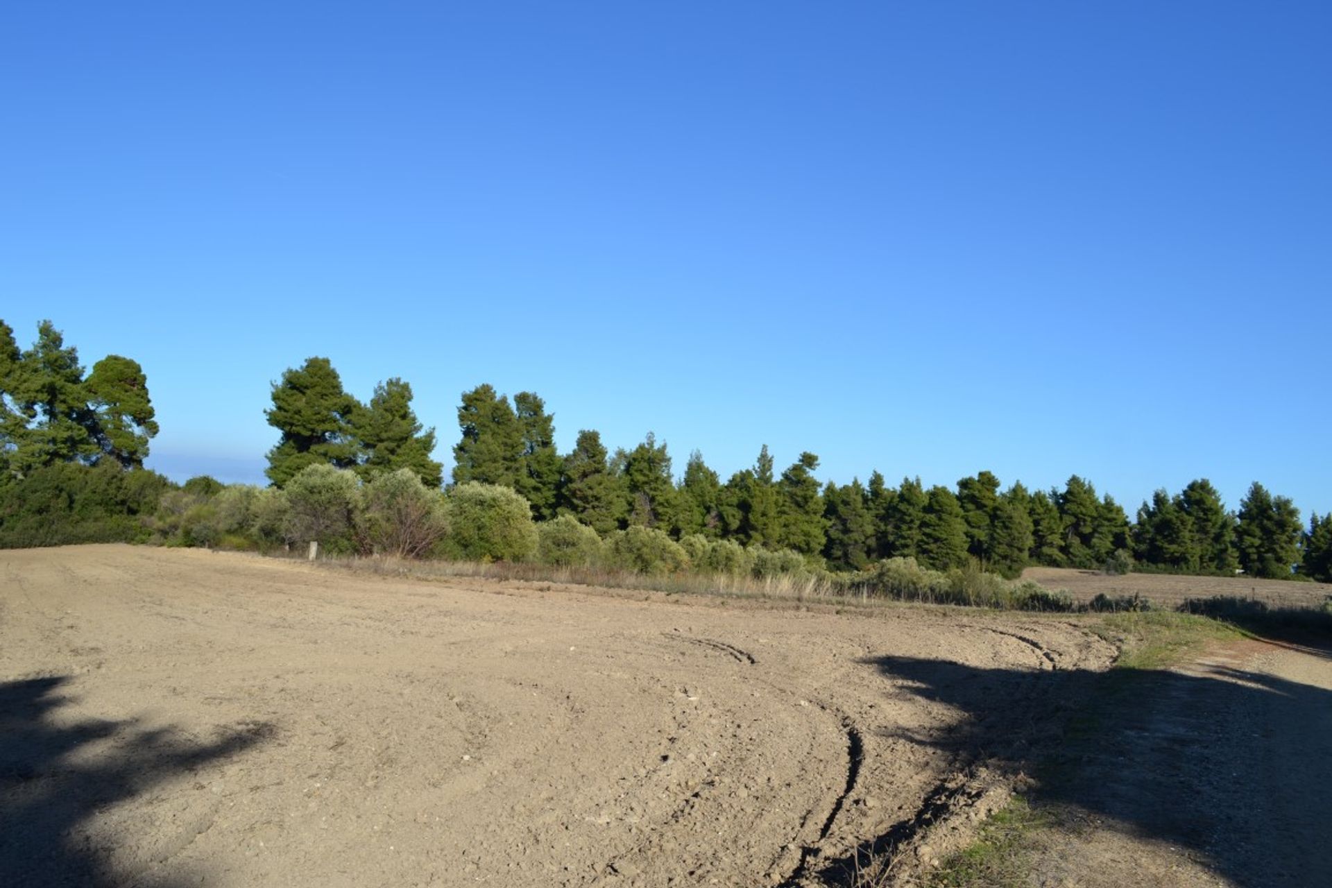 Tierra en Kassandreia, Kentriki Macedonia 10803065