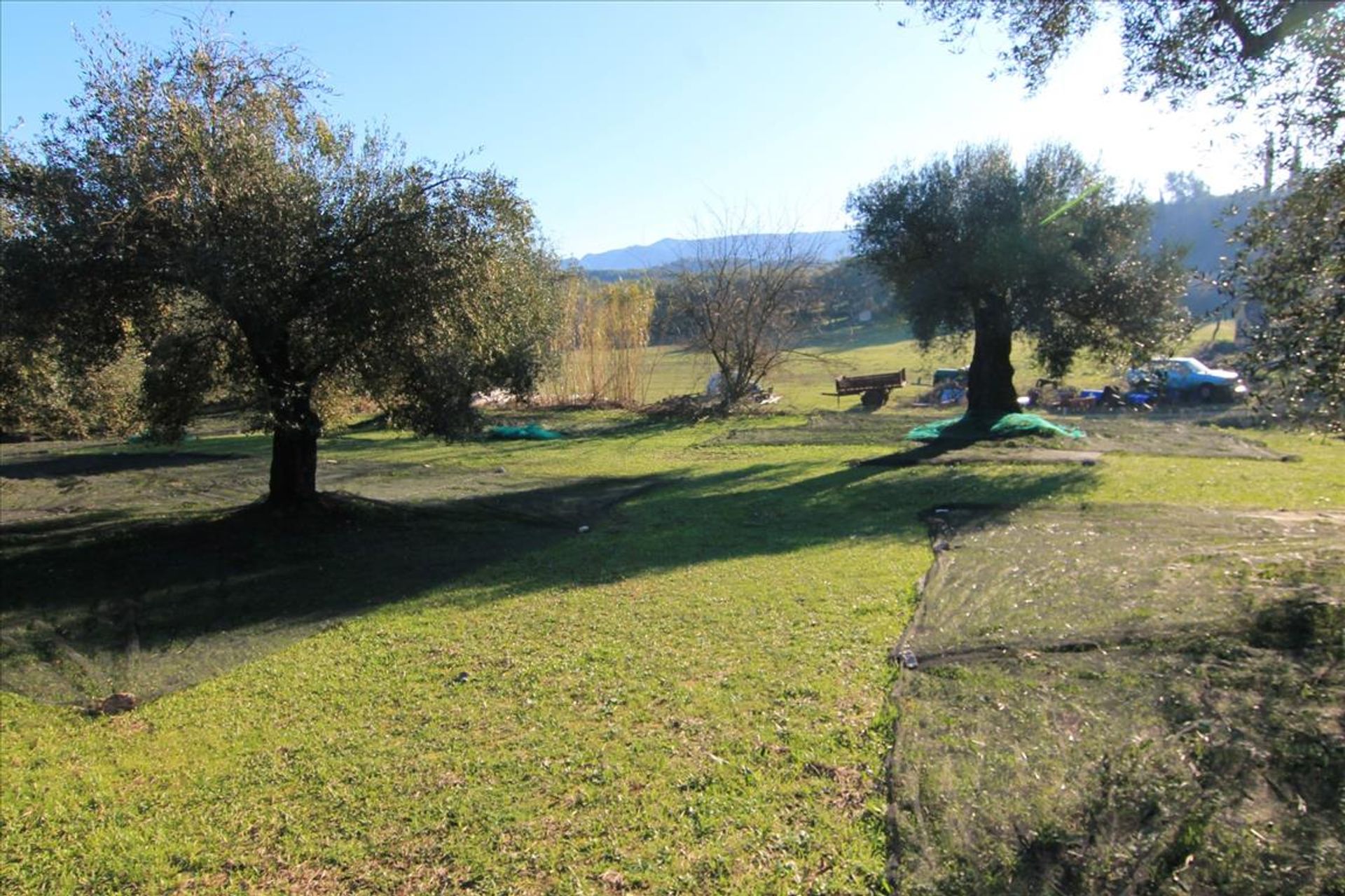 Land in Livadi,  10803081