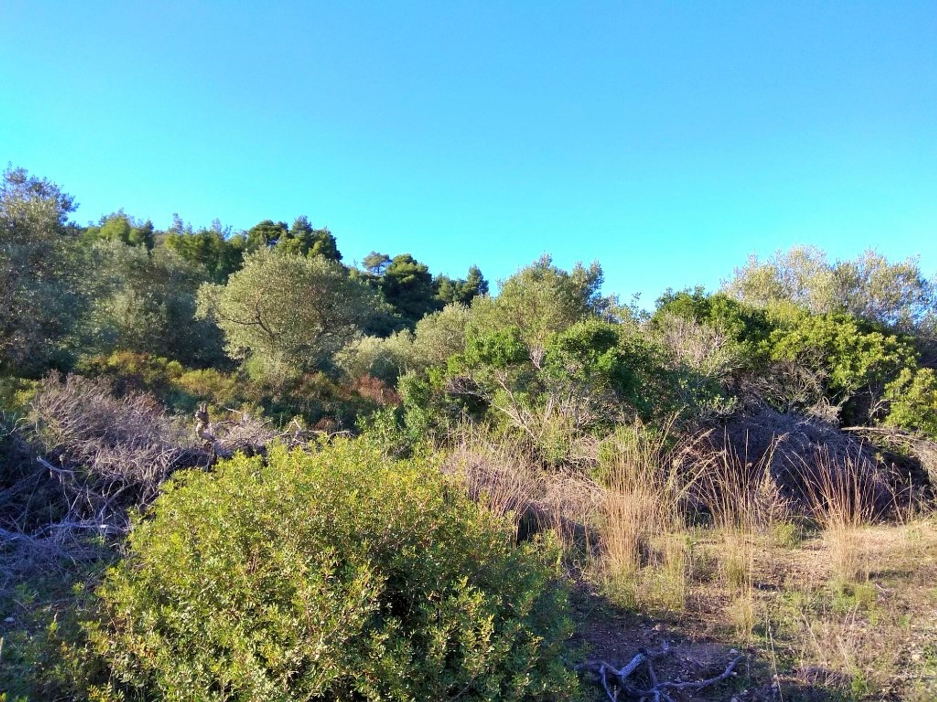 ארץ ב ניאוס מרמראס, קנטריקי מקדוניה 10803087