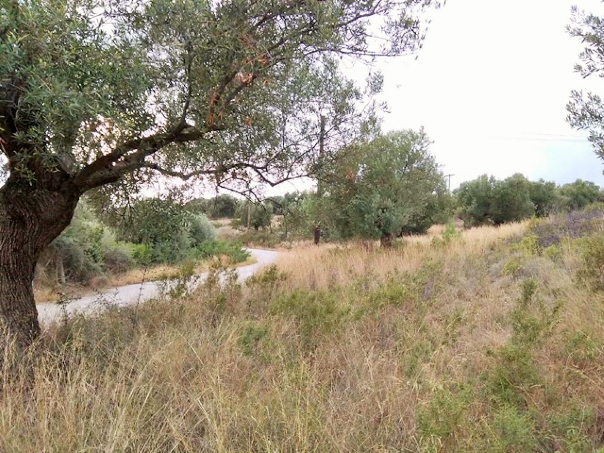 ארץ ב ג'רקיני, קנטריקי מקדוניה 10803140