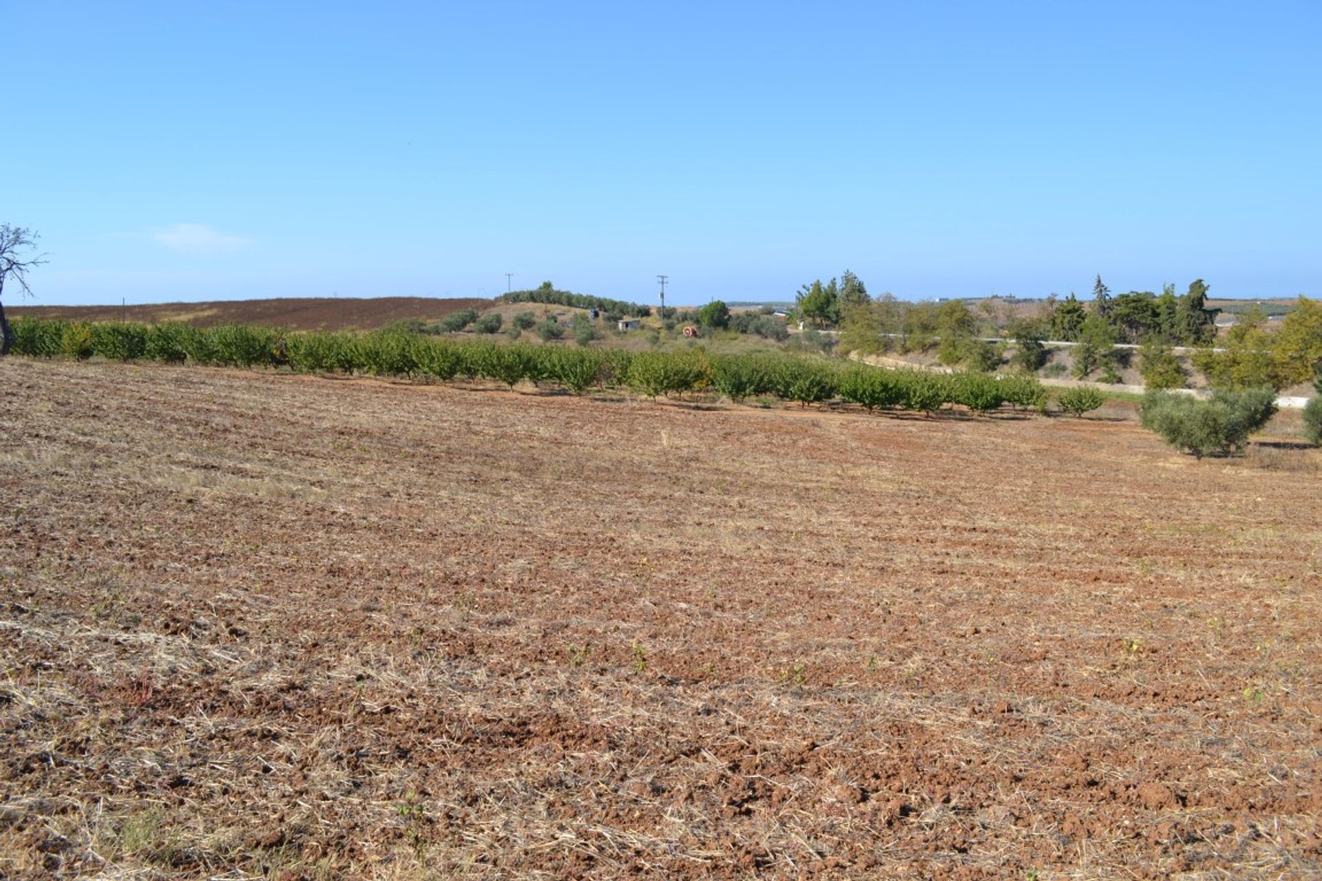 Terre dans Nouvelle Poteidaia, Kentriki Macédoine 10803278