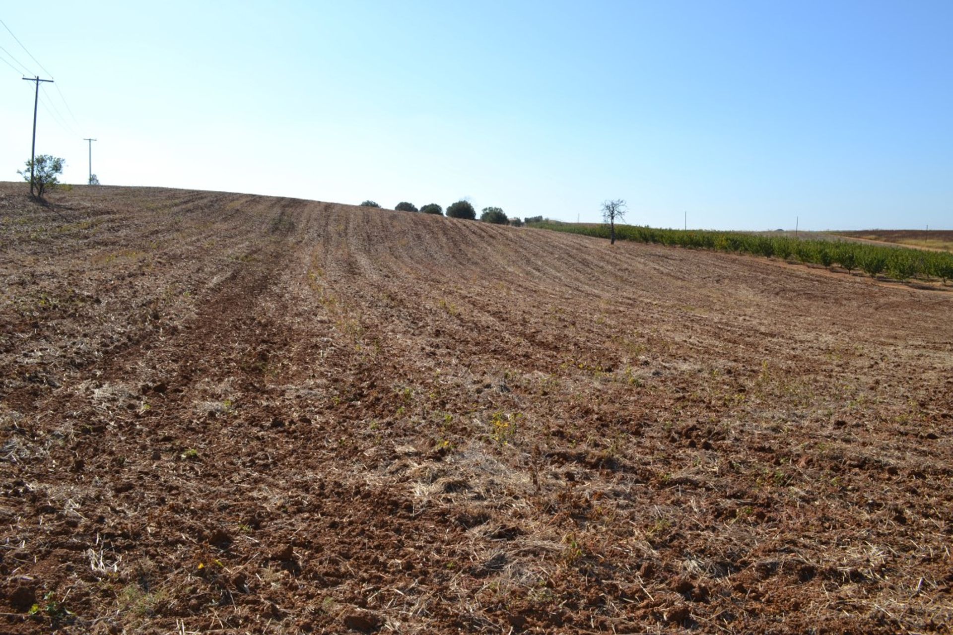 Terra no Nea Poteidaia, Kentriki Makedonia 10803278