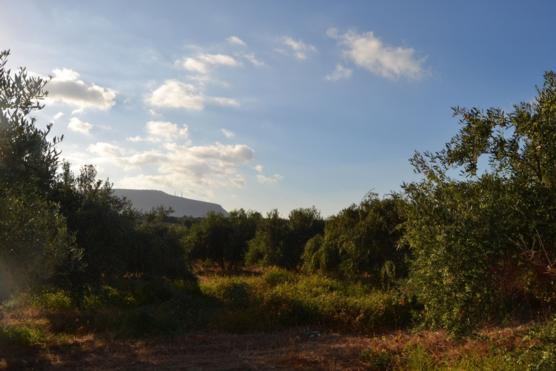 土地 在 Chersonisos, 克里蒂 10803286