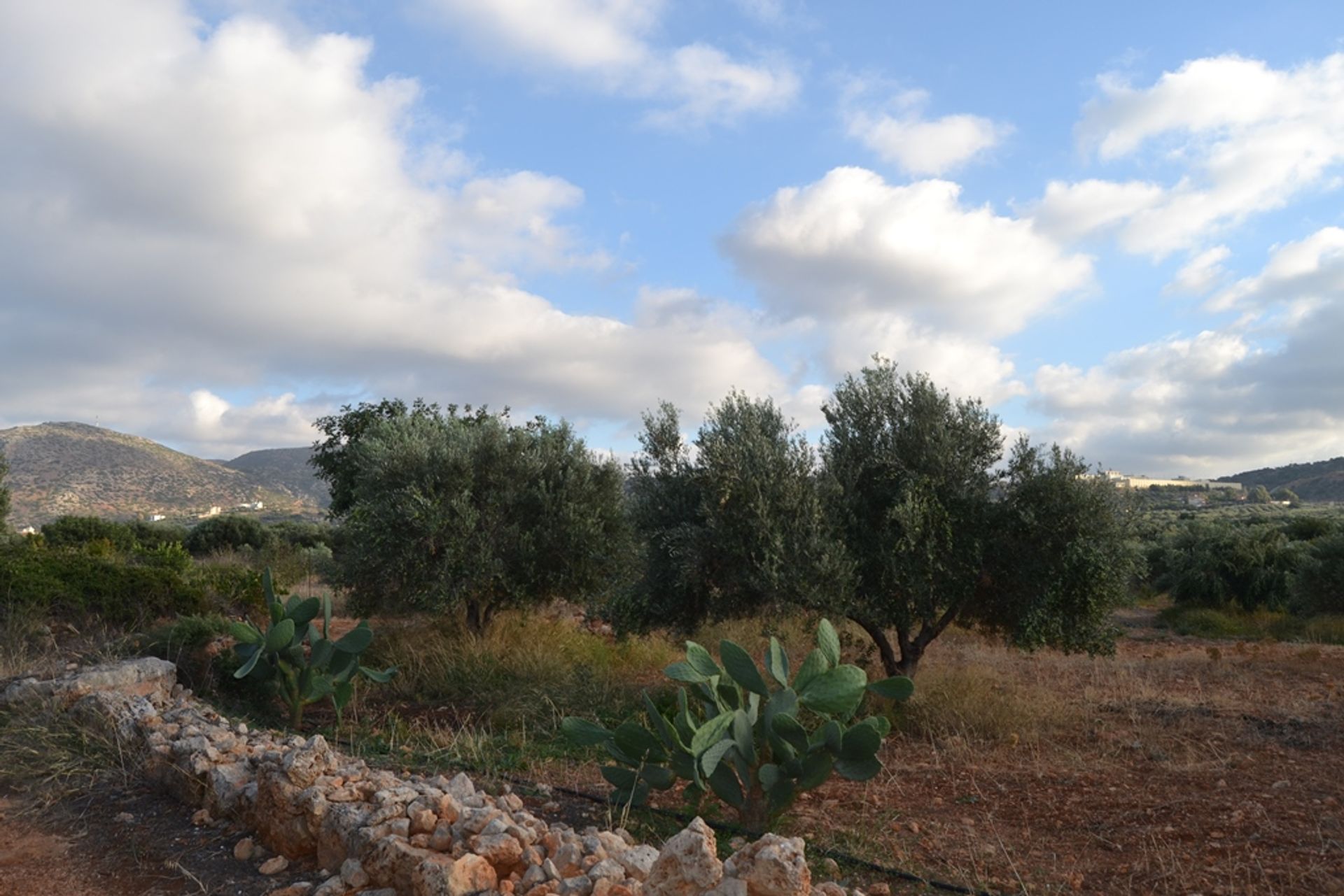 Γη σε Χερσόνησος, Κρήτης 10803286