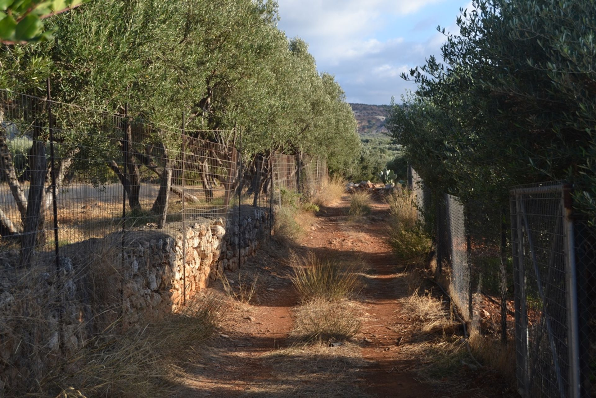 Land i Hersonissos, Kriti 10803286