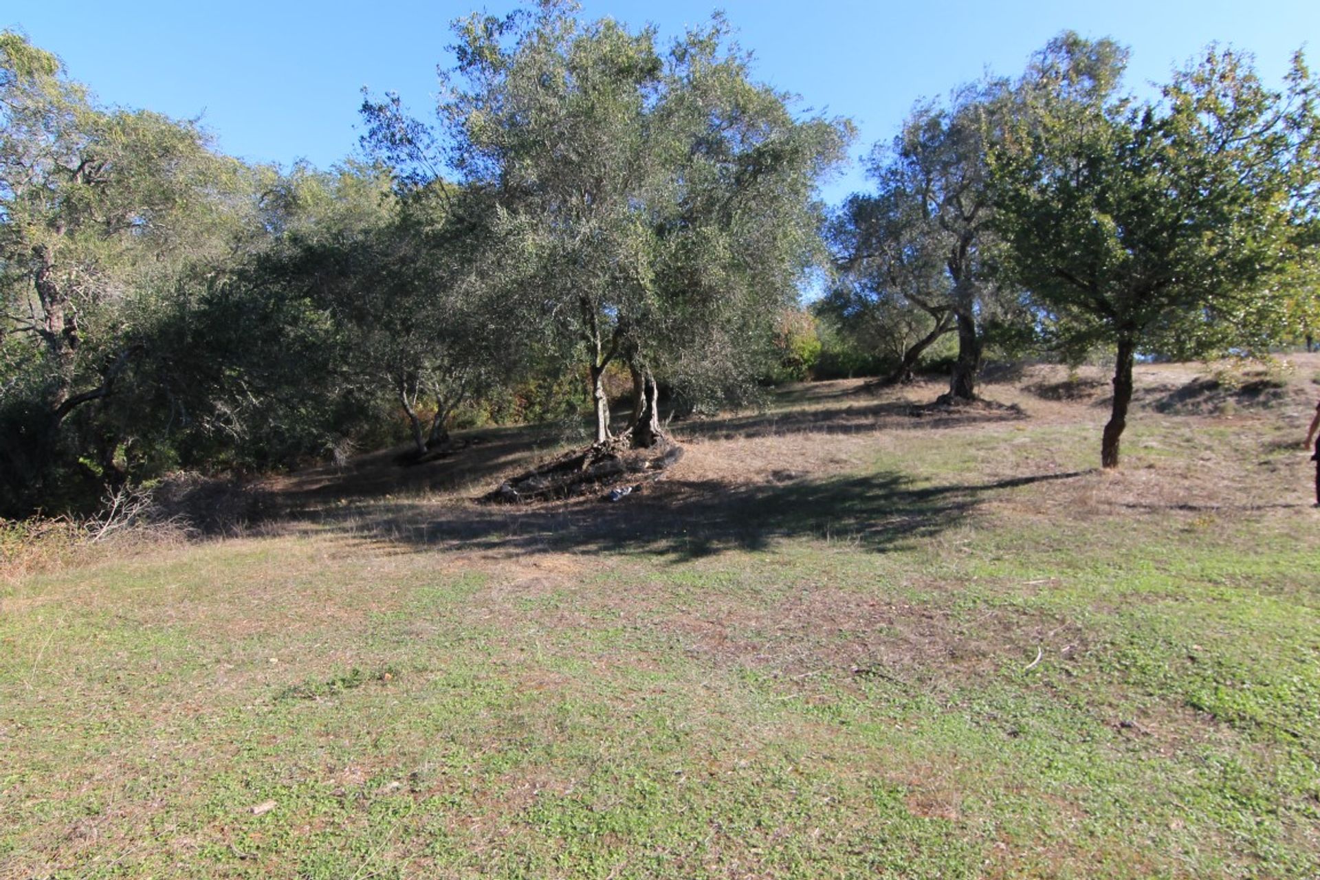 Tierra en Analipsi, Ionia Nisia 10803325