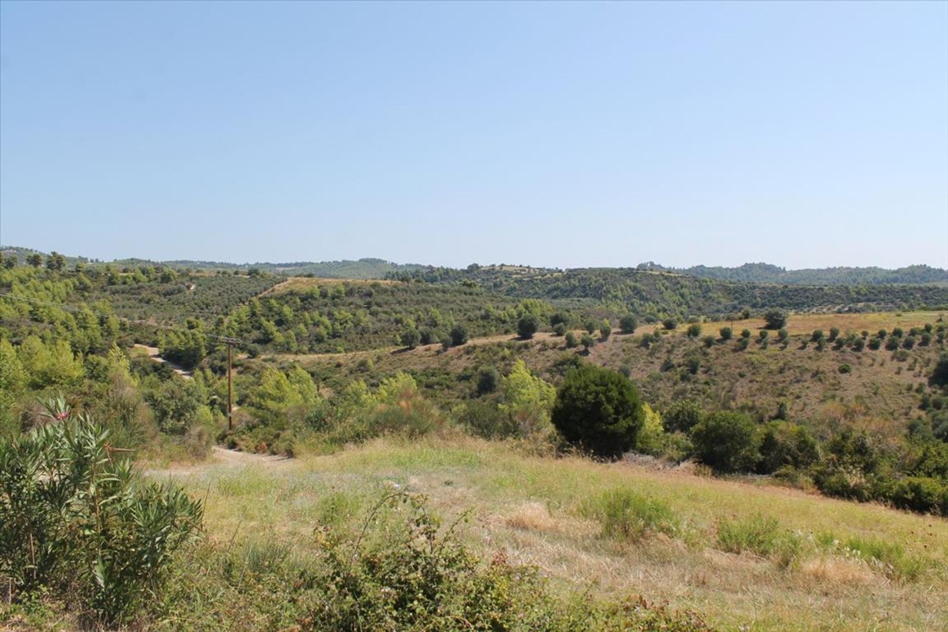 Land in Kassandreia, Kentriki Makedonia 10803452