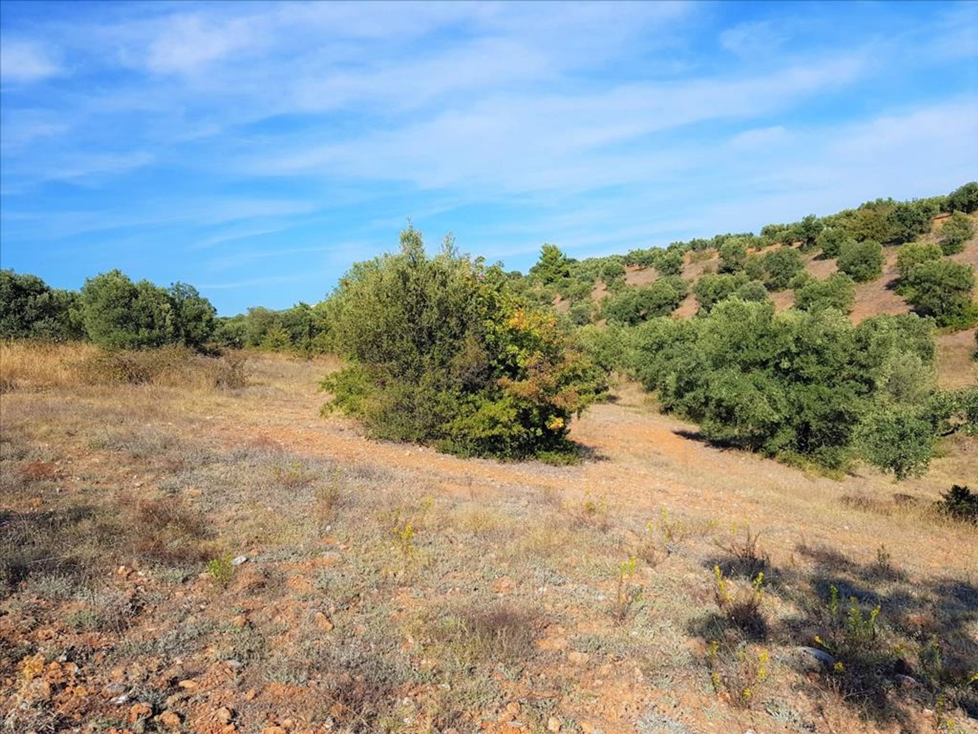 Tierra en Νικήτη,  10803491