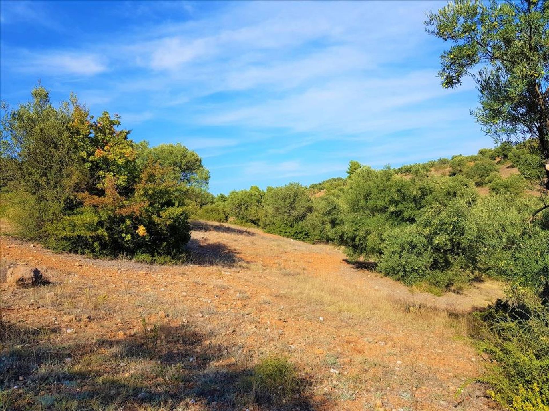 Tierra en Νικήτη,  10803491