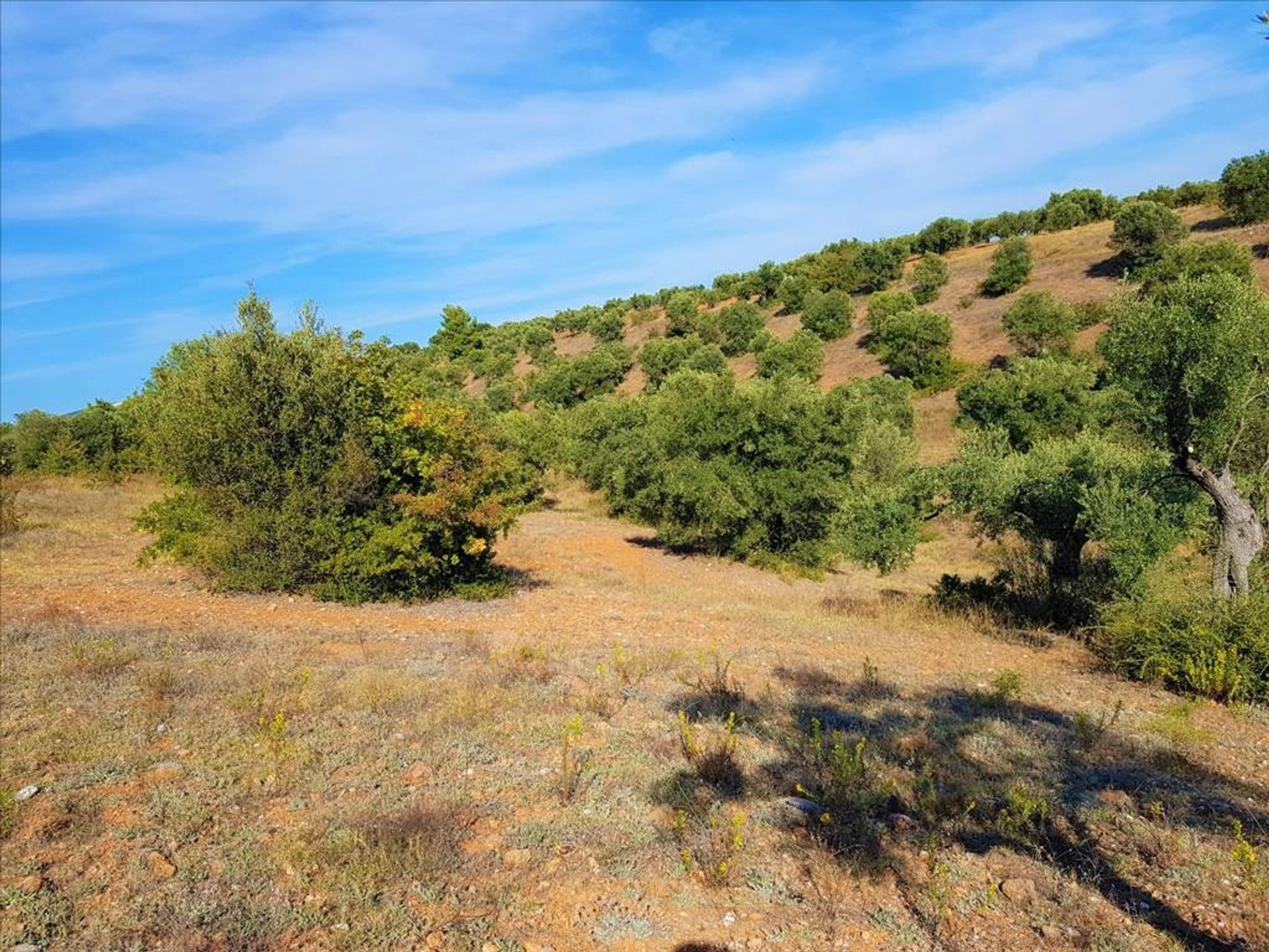 ארץ ב מטמורפוזי, קנטריקי מקדוניה 10803491