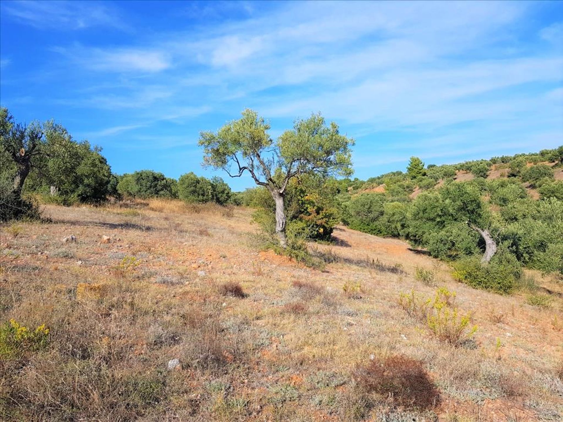 Tierra en Νικήτη,  10803491