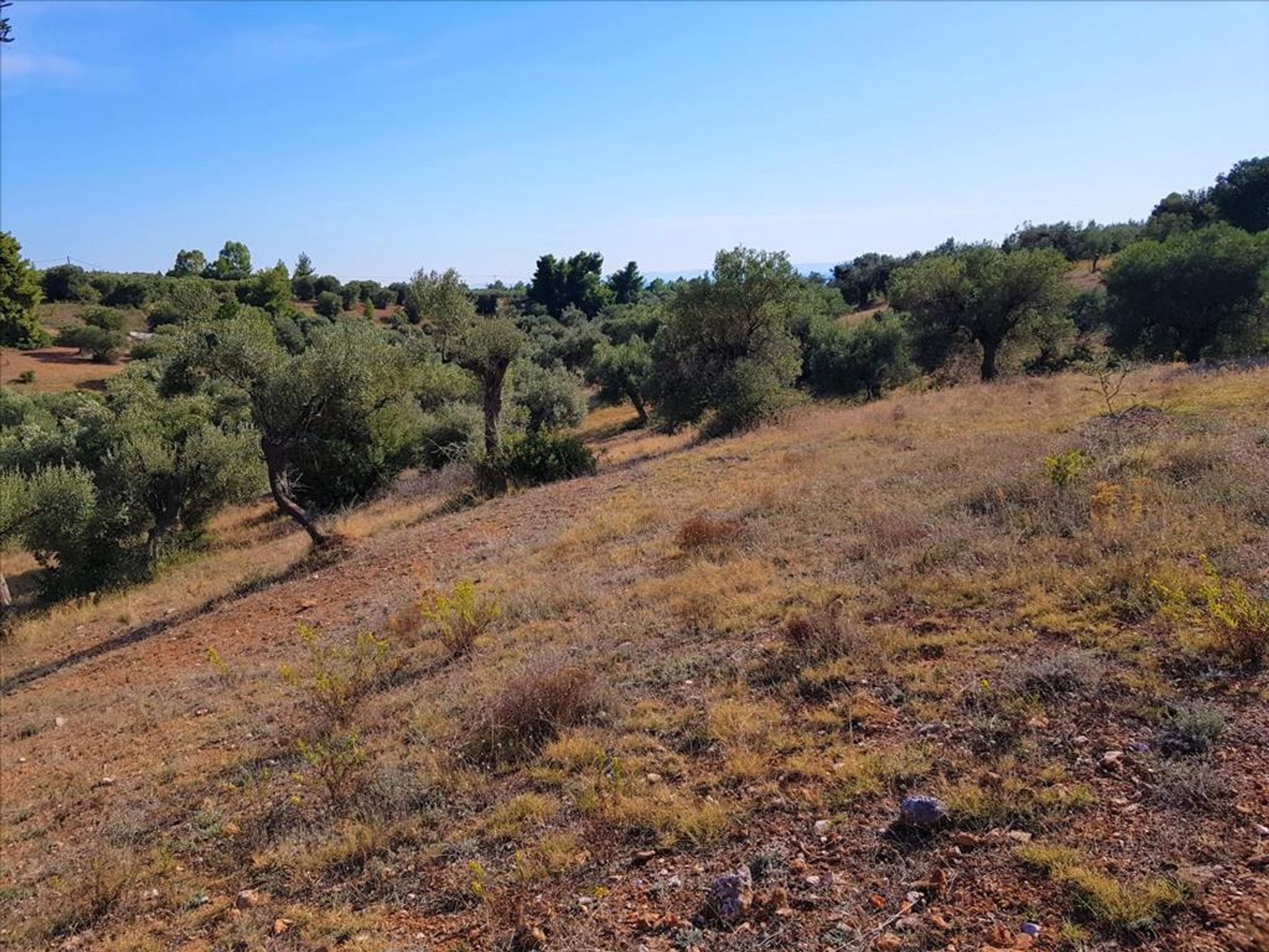 Land in Metamorfosi, Kentriki Makedonia 10803491