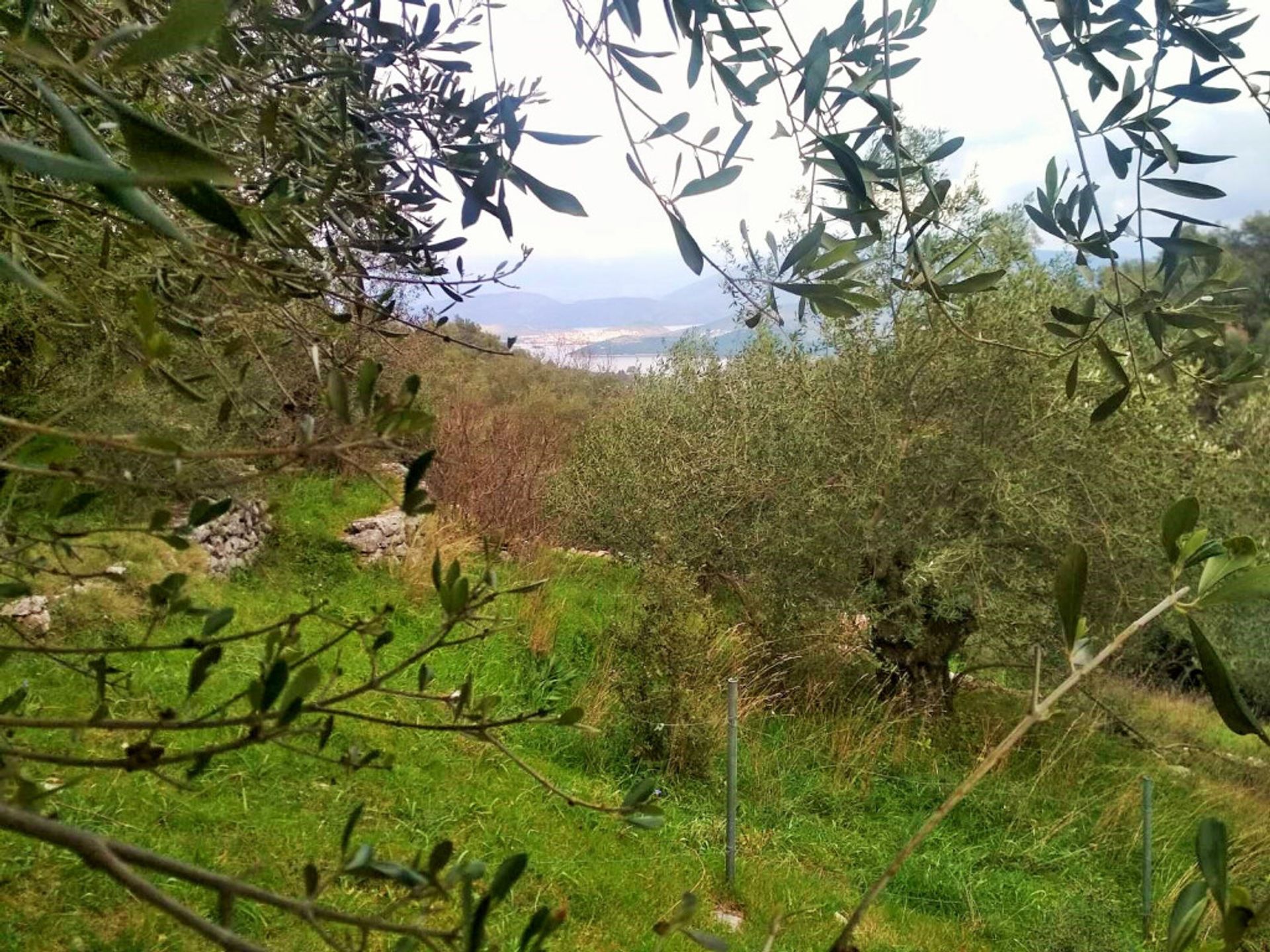 Land im Kassiopi, Ionia Nisia 10803553