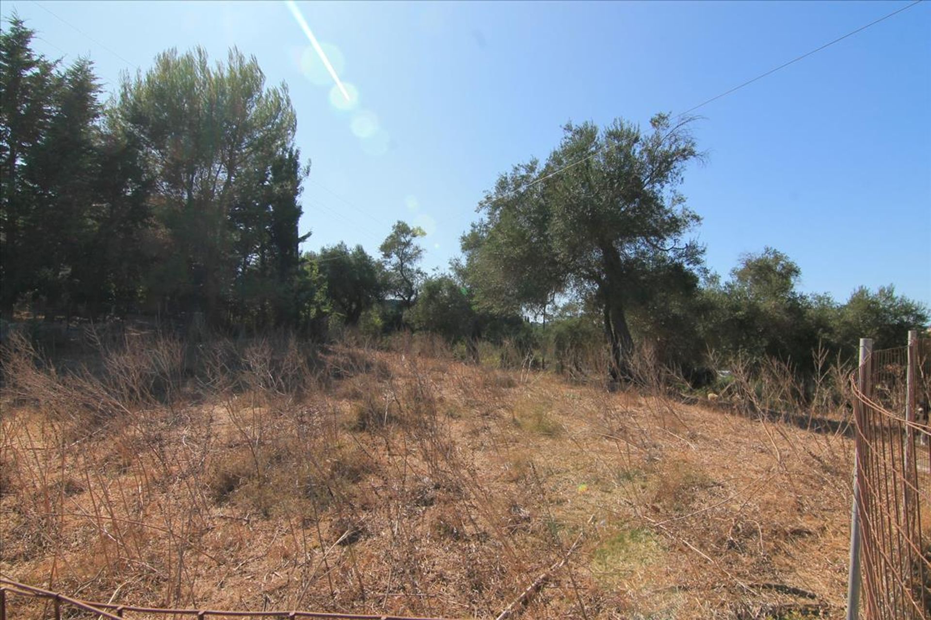 Land im Alepou, Ionia Nisia 10803577