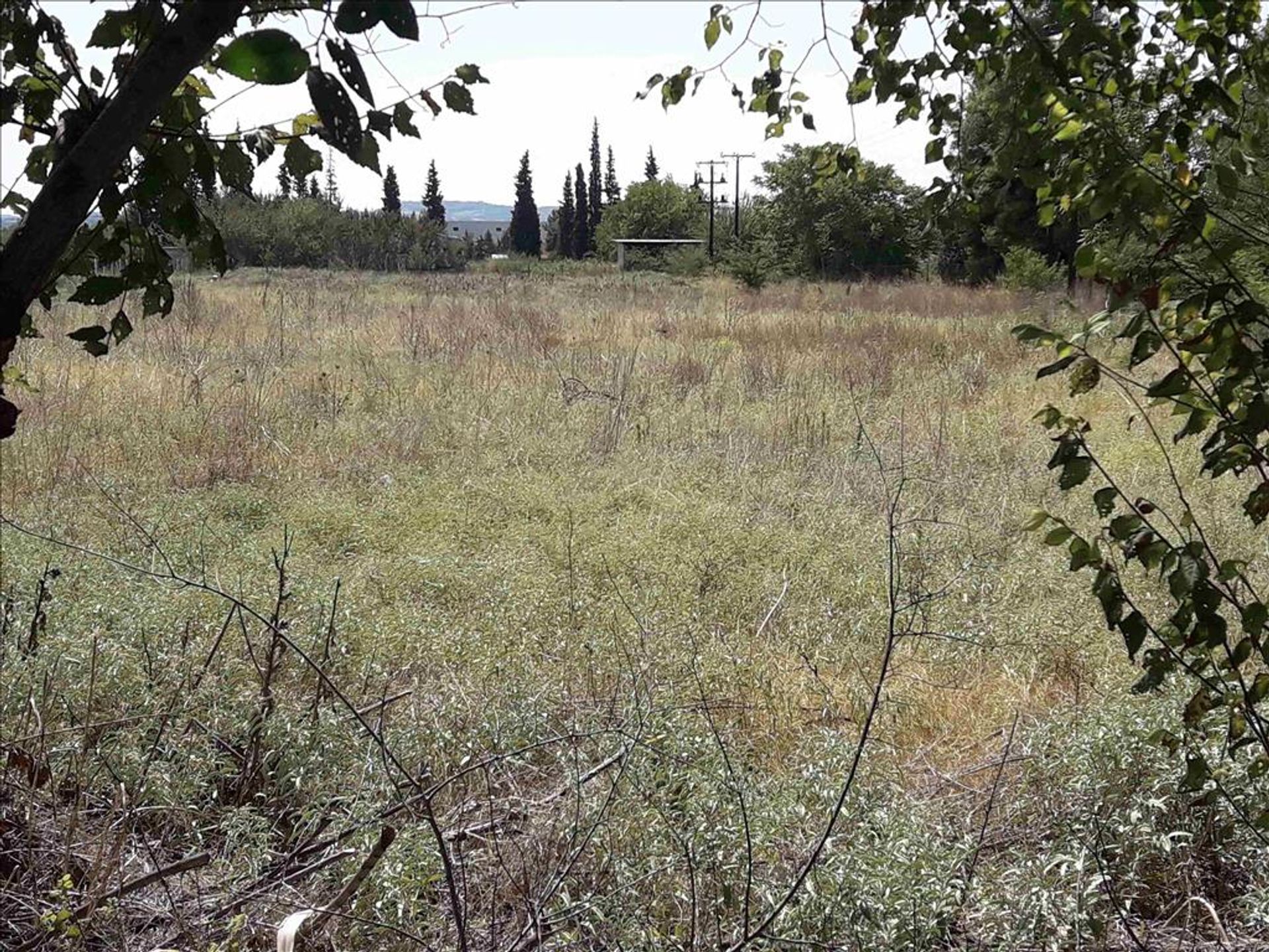 Land im Thermi, Kentriki Makedonia 10803601