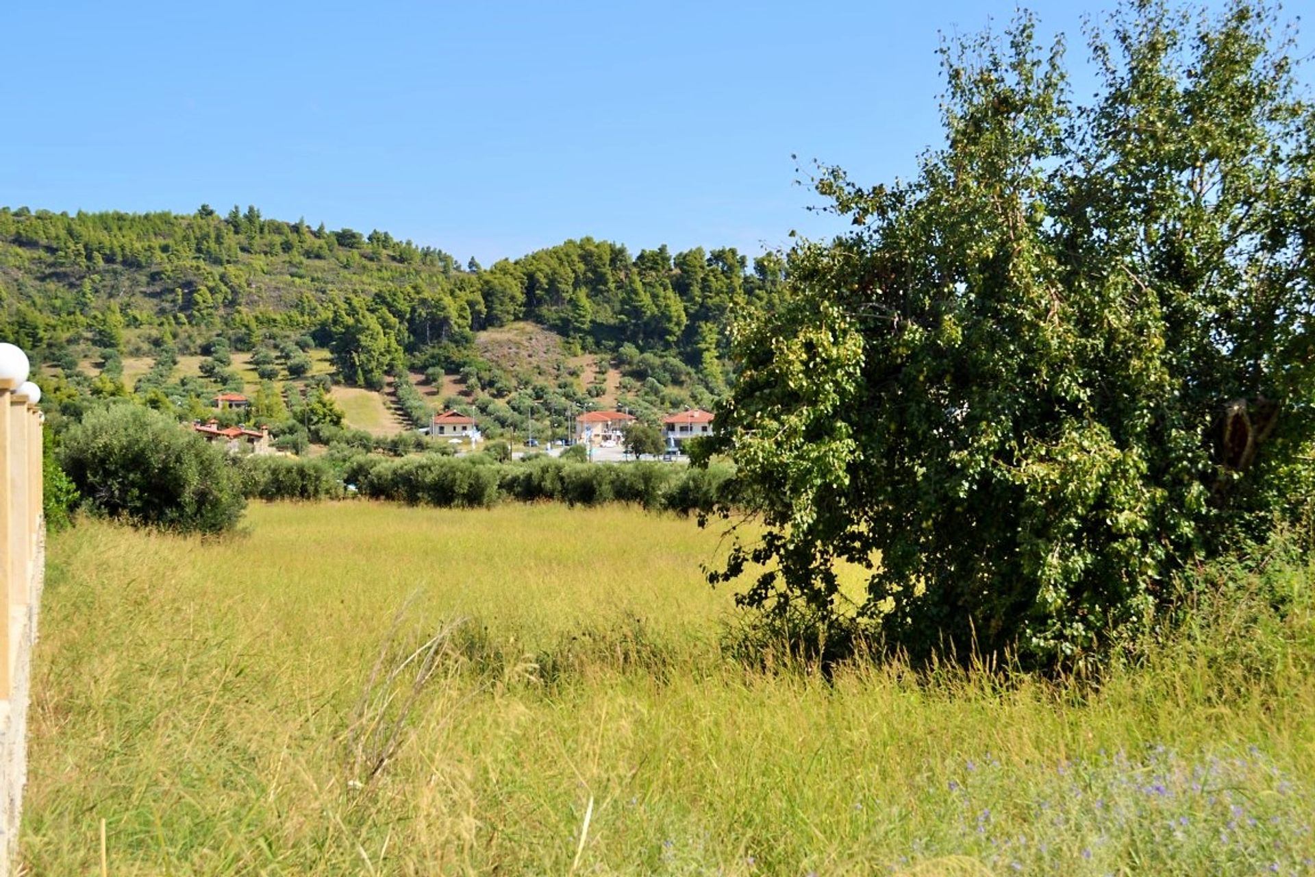 Wylądować w Kasandreja, Kentriki Makedonia 10803602