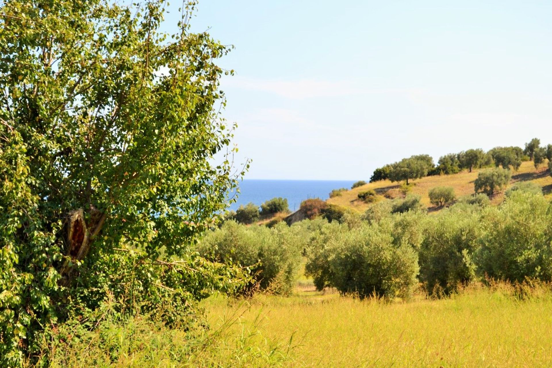 Земля в Касандрея, Kentriki Makedonia 10803602