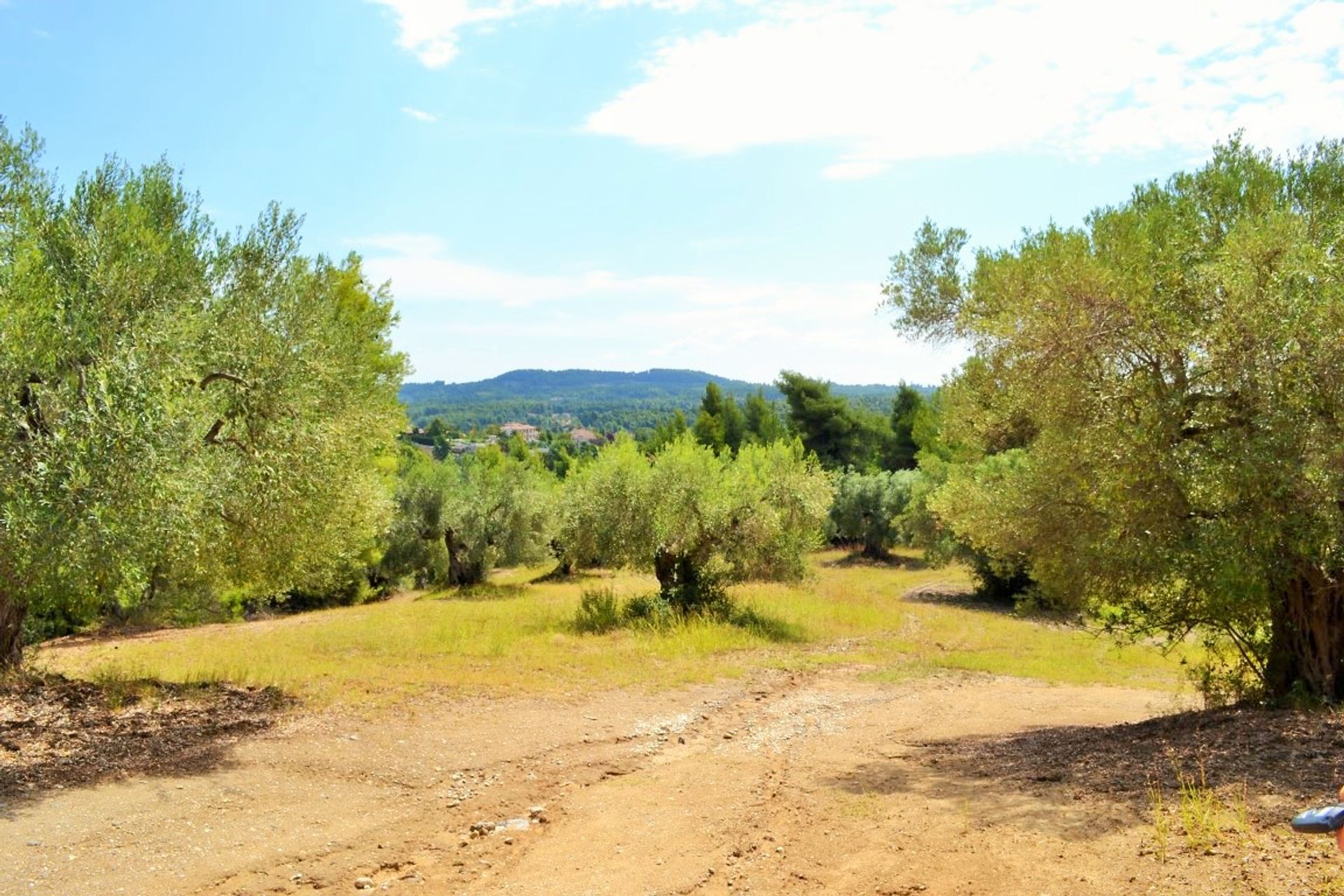 Land in Elani,  10803604