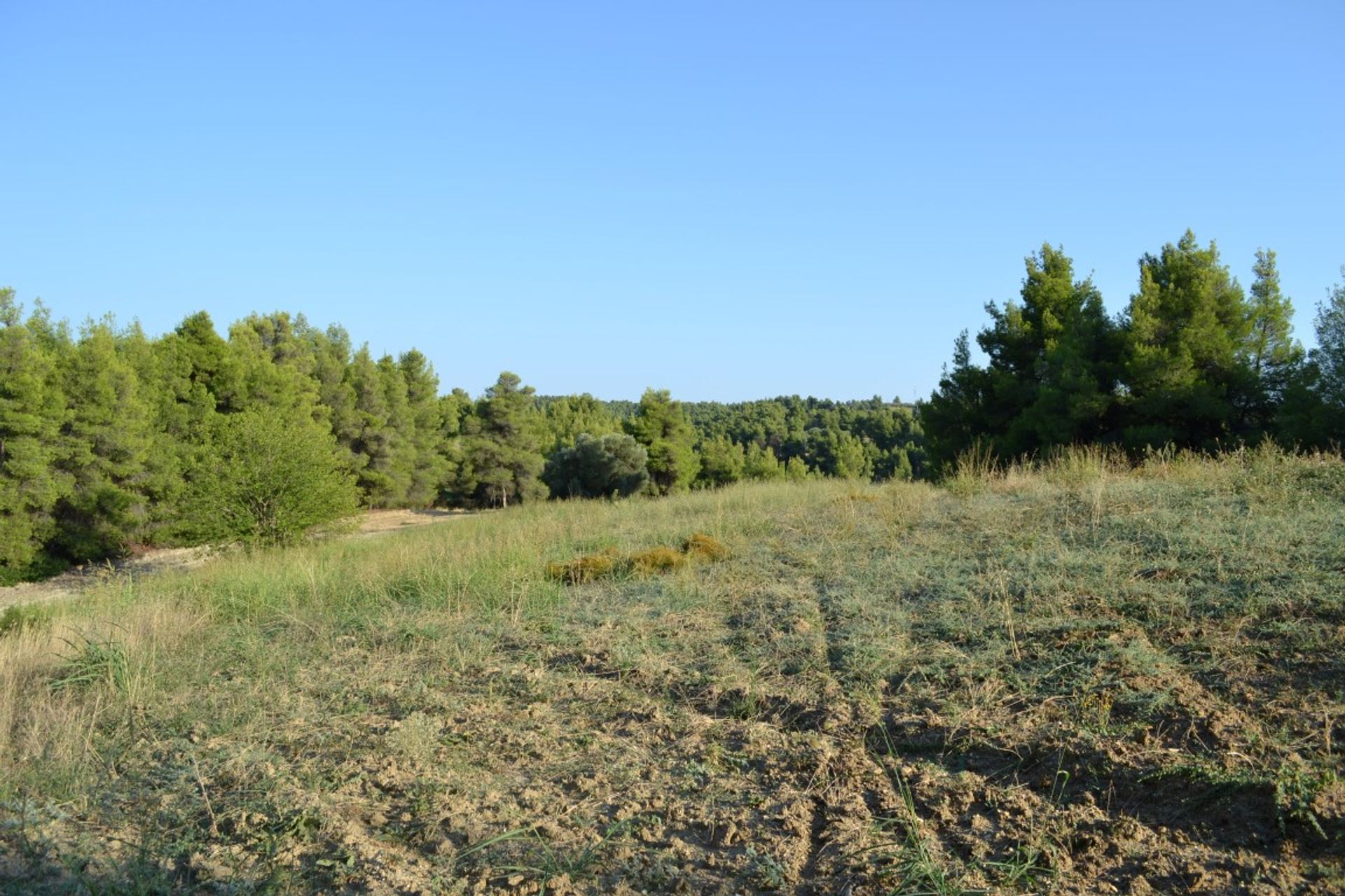 Wylądować w Kasandreja, Kentriki Makedonia 10803662