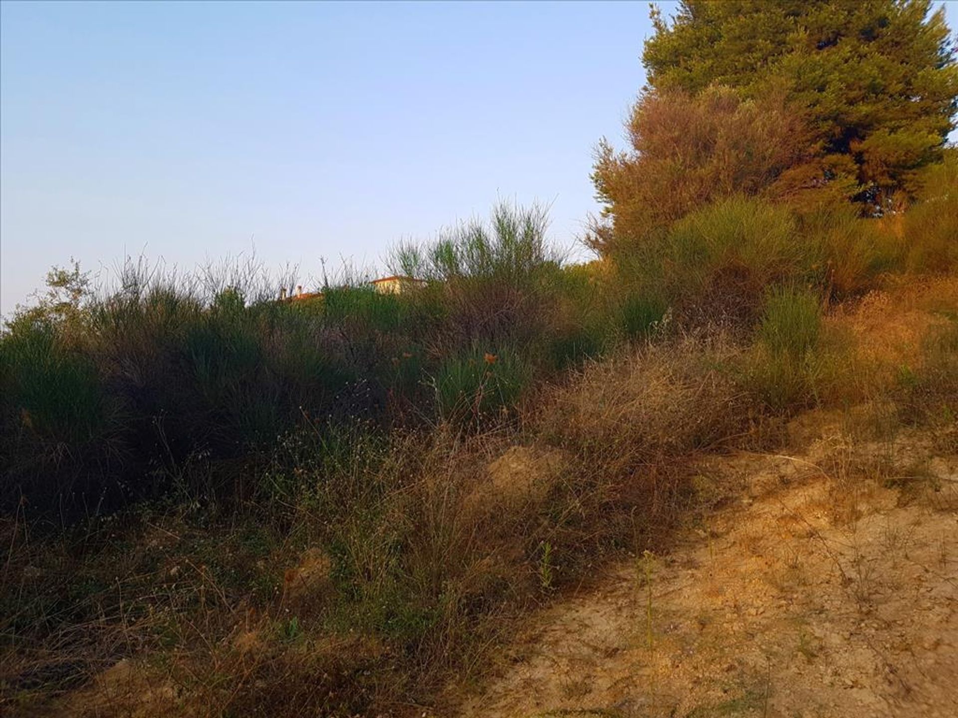 Land im Agios Nikolaos,  10803696