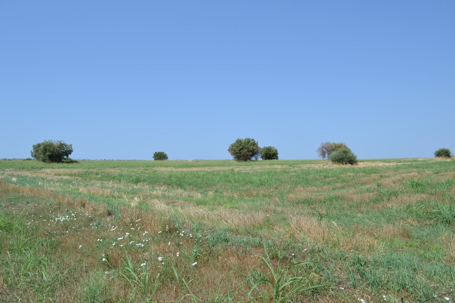 Tierra en Kassandreia, Kentriki Macedonia 10803706