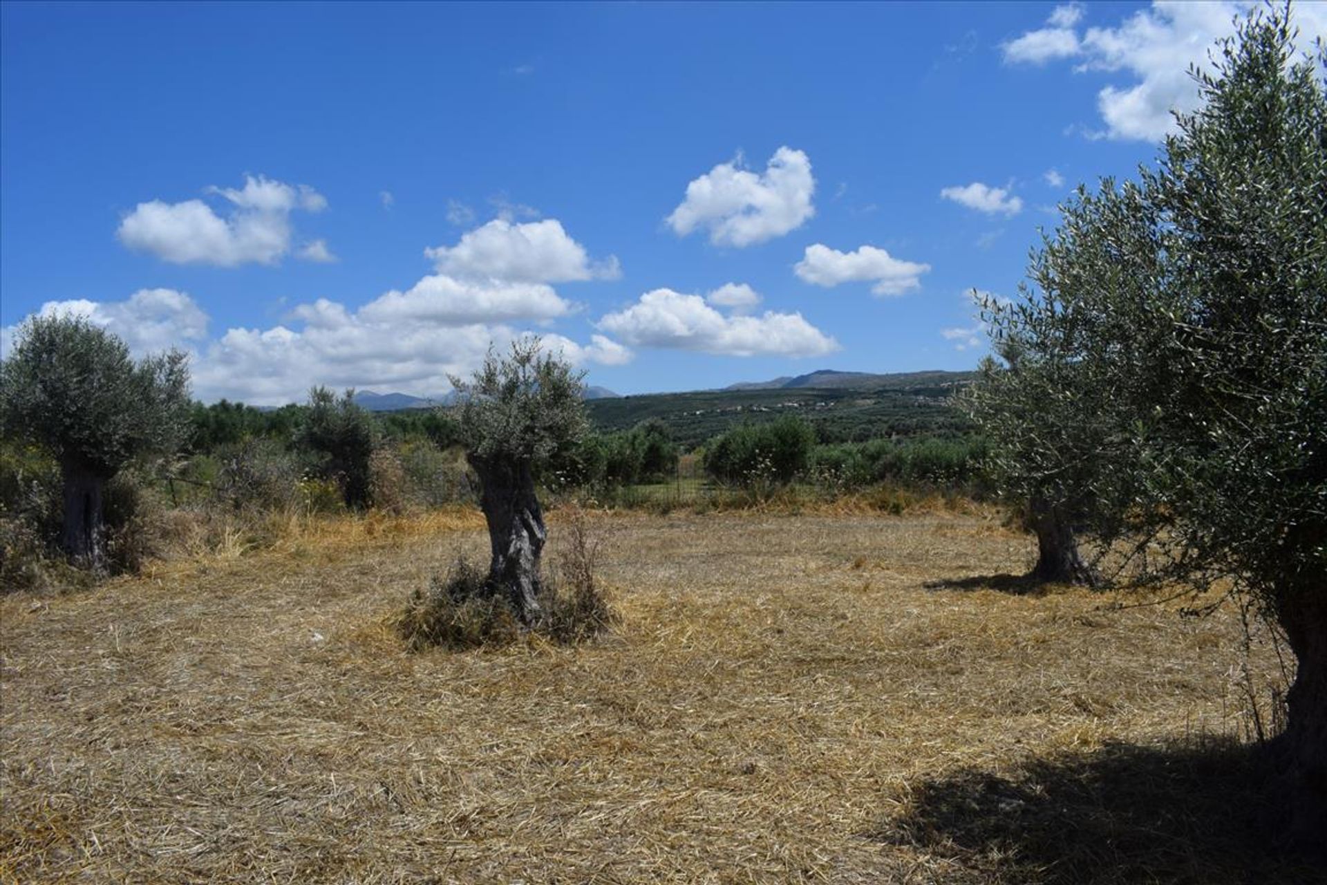 Γη σε Αμνάτος, Κρήτης 10803850