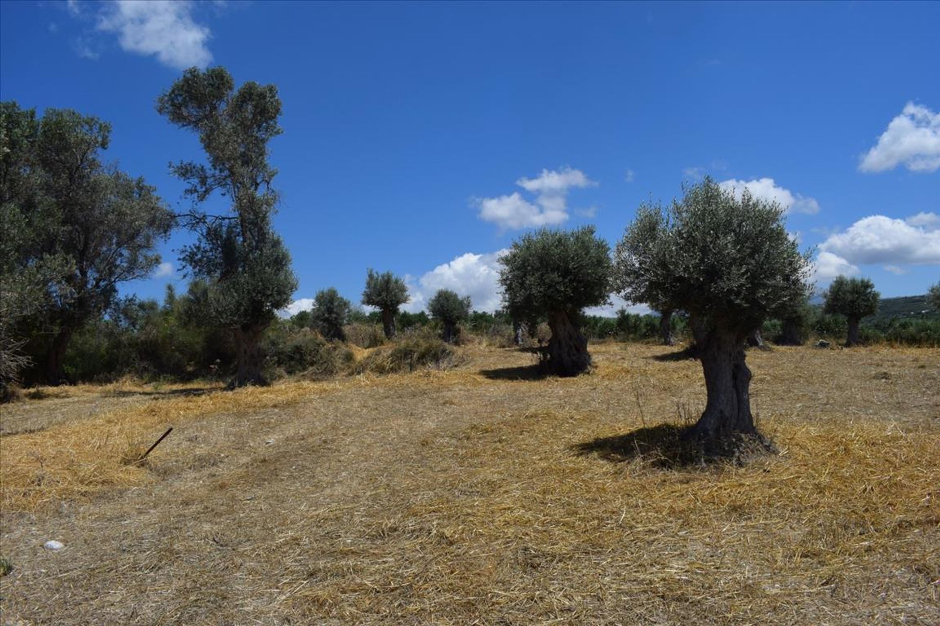 Γη σε Αμνάτος, Κρήτης 10803850