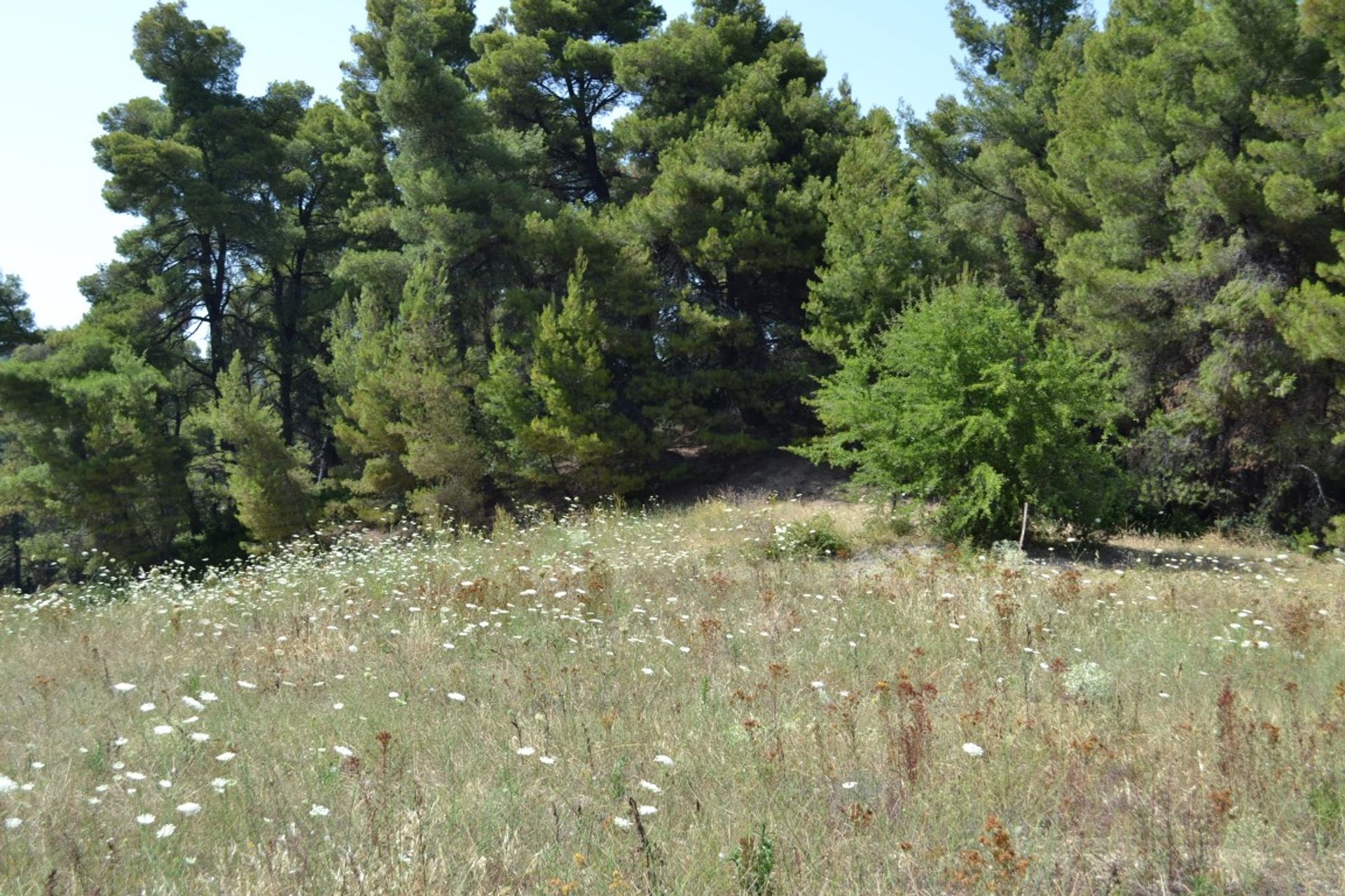 ארץ ב ניאוס מרמראס, קנטריקי מקדוניה 10803952