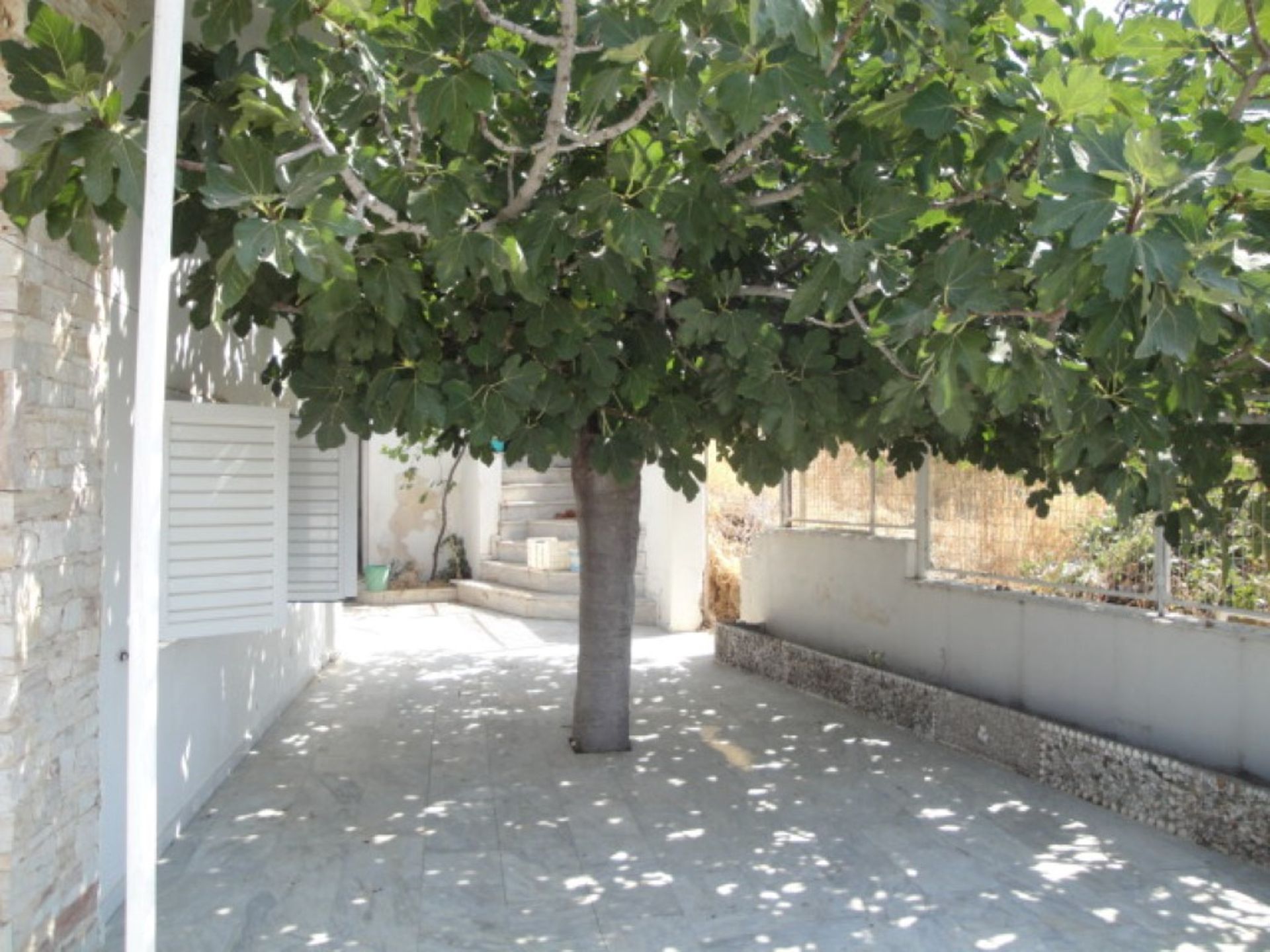 House in Agia Marina,  10803964