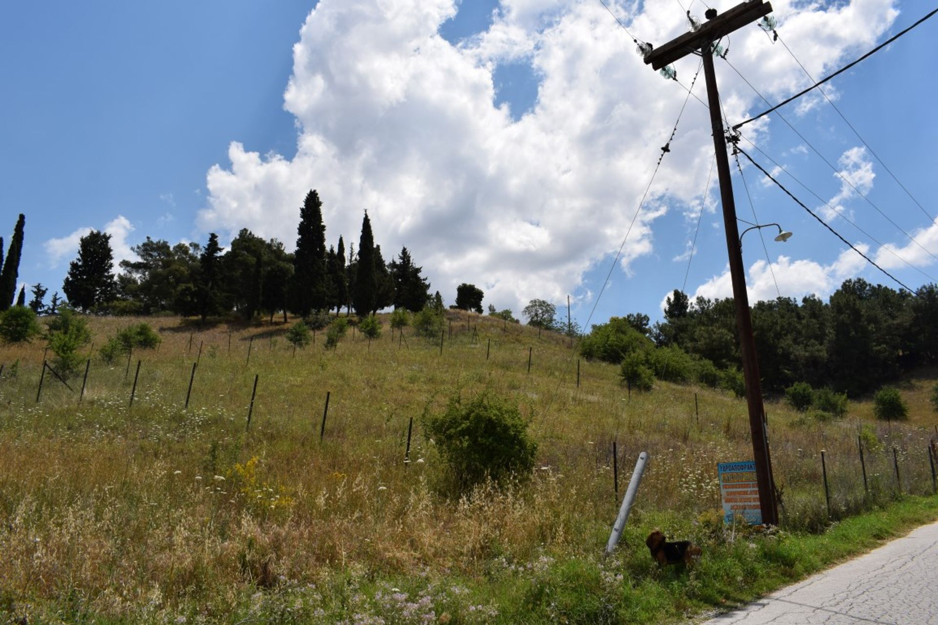 土地 在 Lagkadas, Kentriki Makedonia 10804099