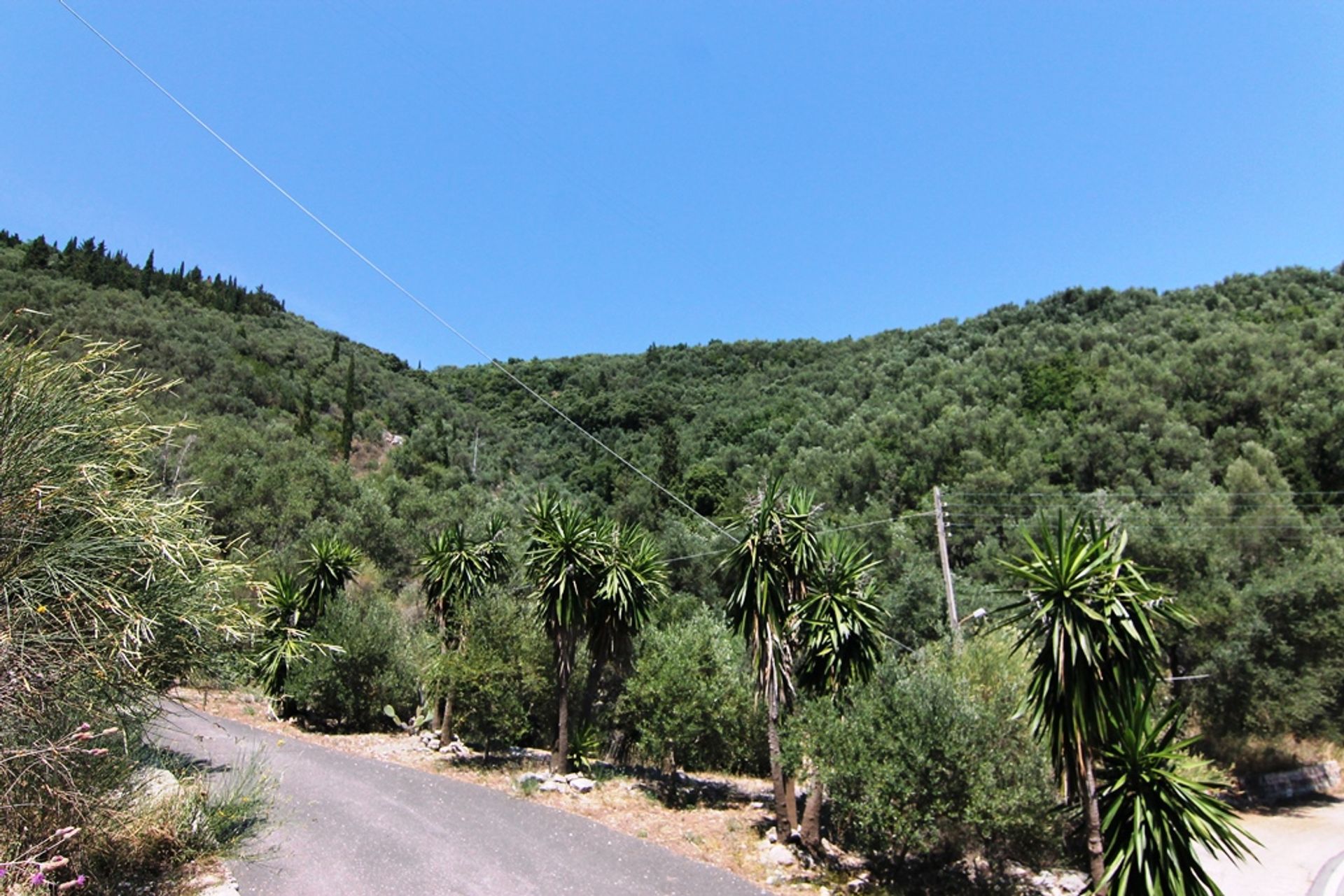 Terre dans Kassiopi, Ionia Nisia 10804115