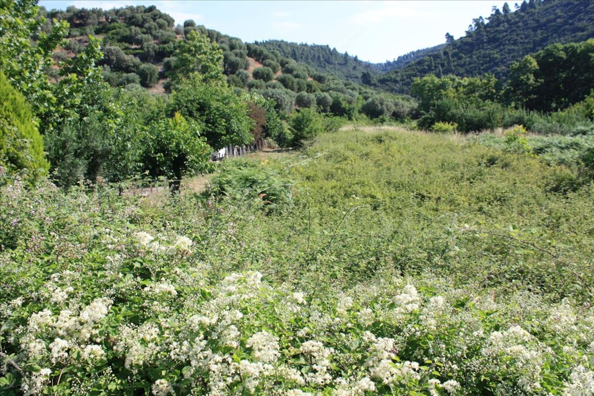 Tanah dalam Neos Marmaras, Kentriki Makedonia 10804118